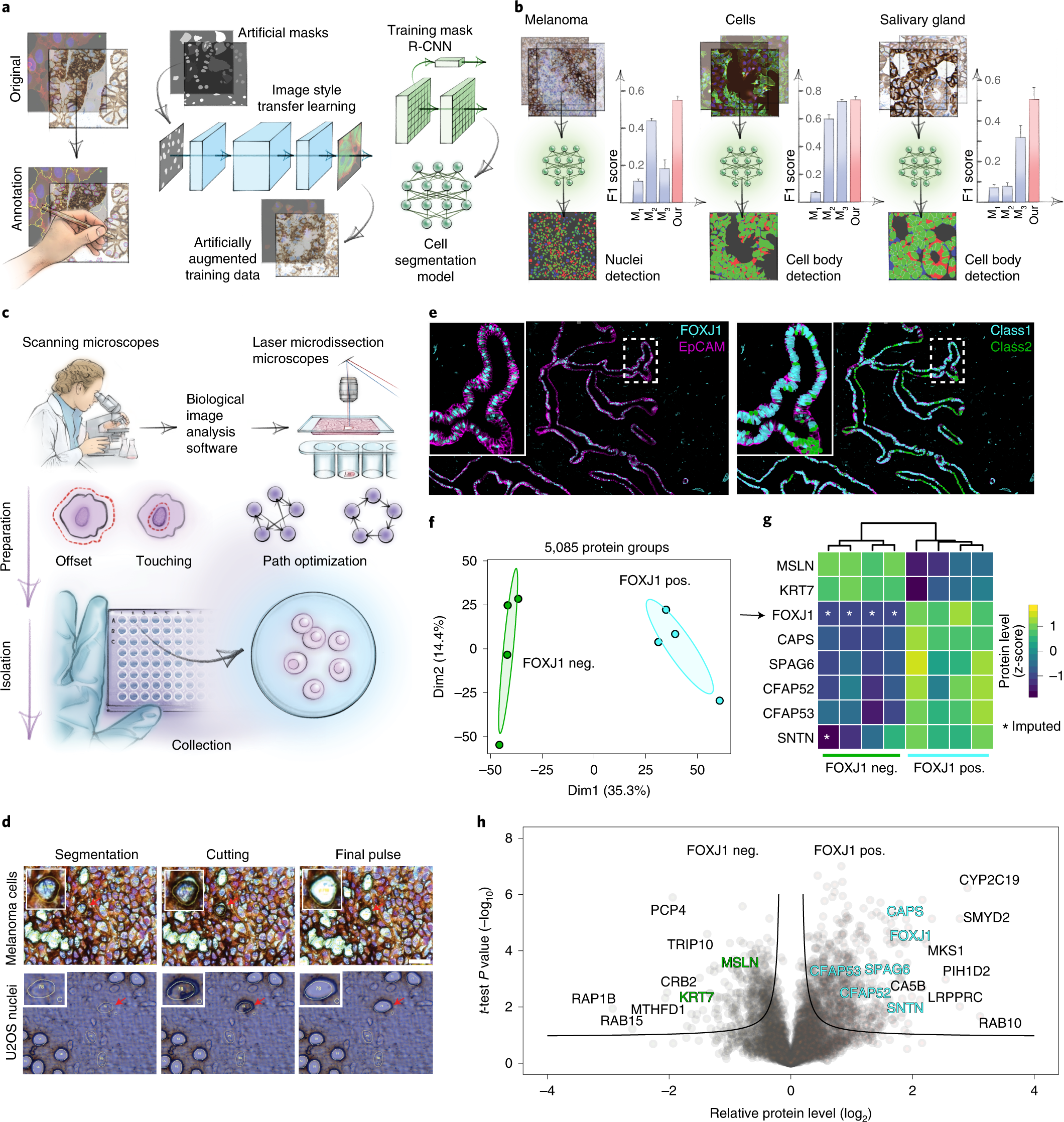 Fig. 2: BIAS for integrative image analysis and automated LMD single-cell isolation.