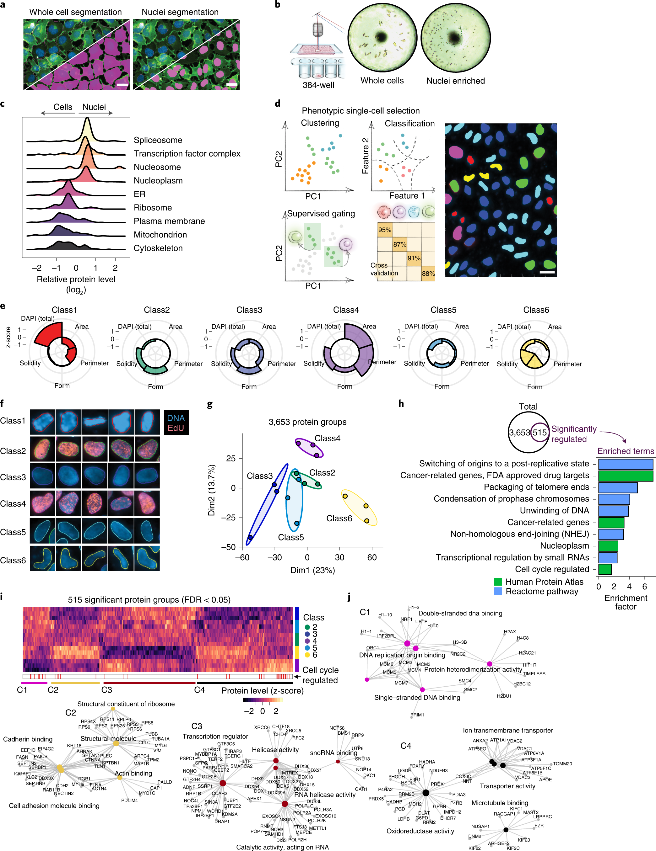 Fig. 3: DVP defines single-cell heterogeneity at the subcellular level.