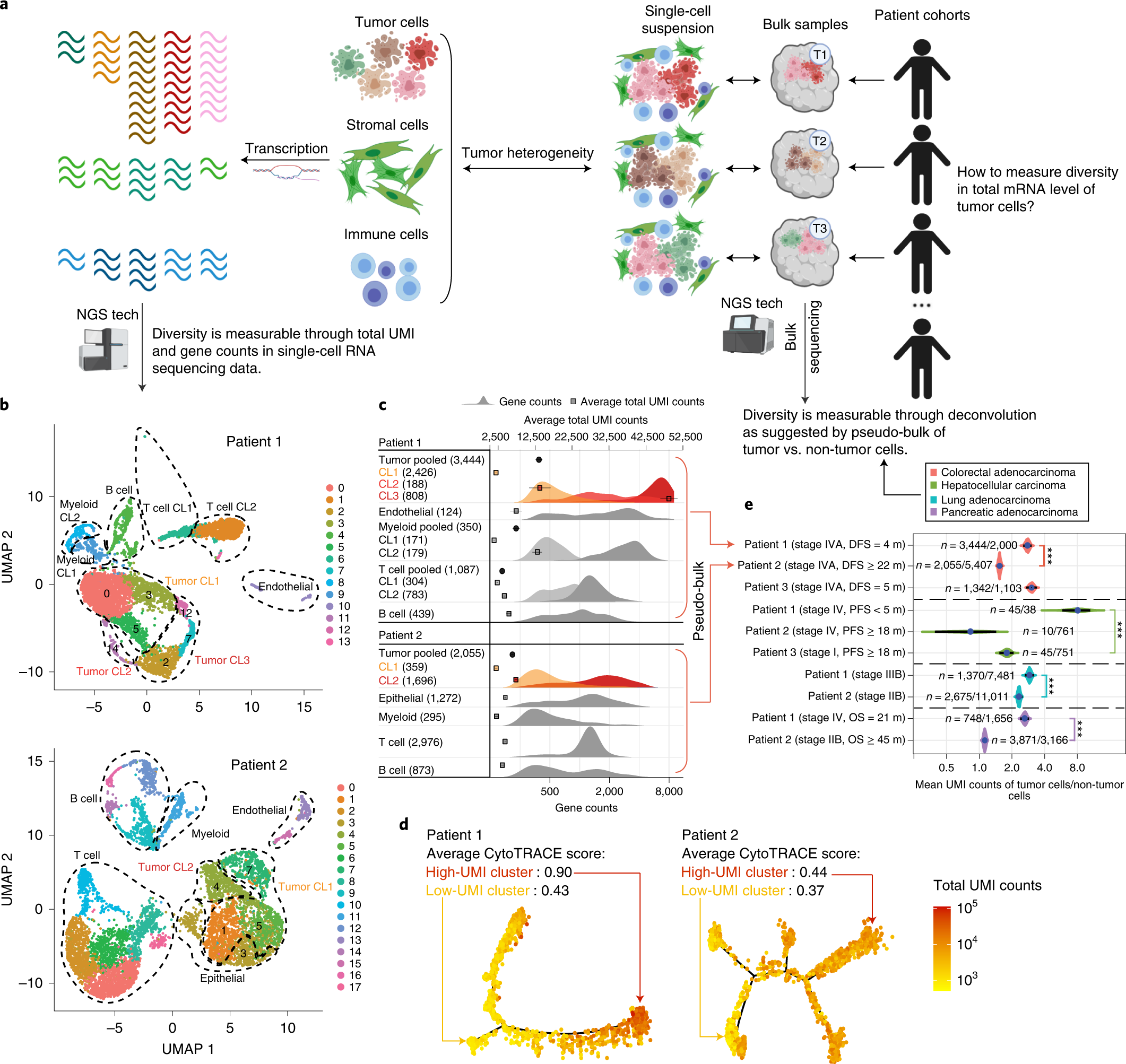 An enhanced prognostic score for overall survival of patients with cancer  derived from a large real-world cohort - ScienceDirect