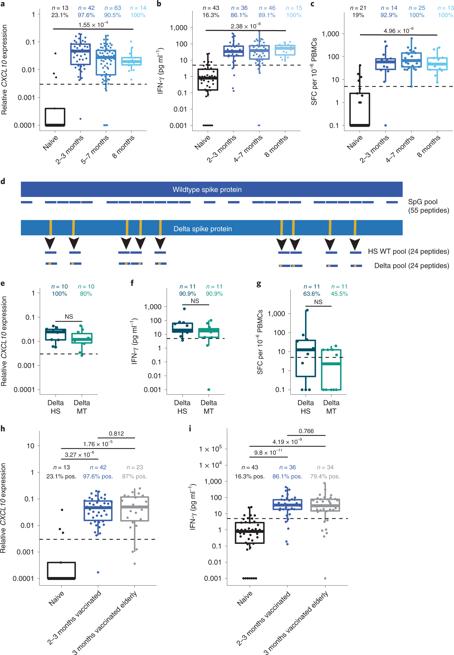 Fig. 6: Using dqTACT to monitor the persistence of cellular immunity and cross reactivity with spike epitopes from VOC in vaccinated participants.