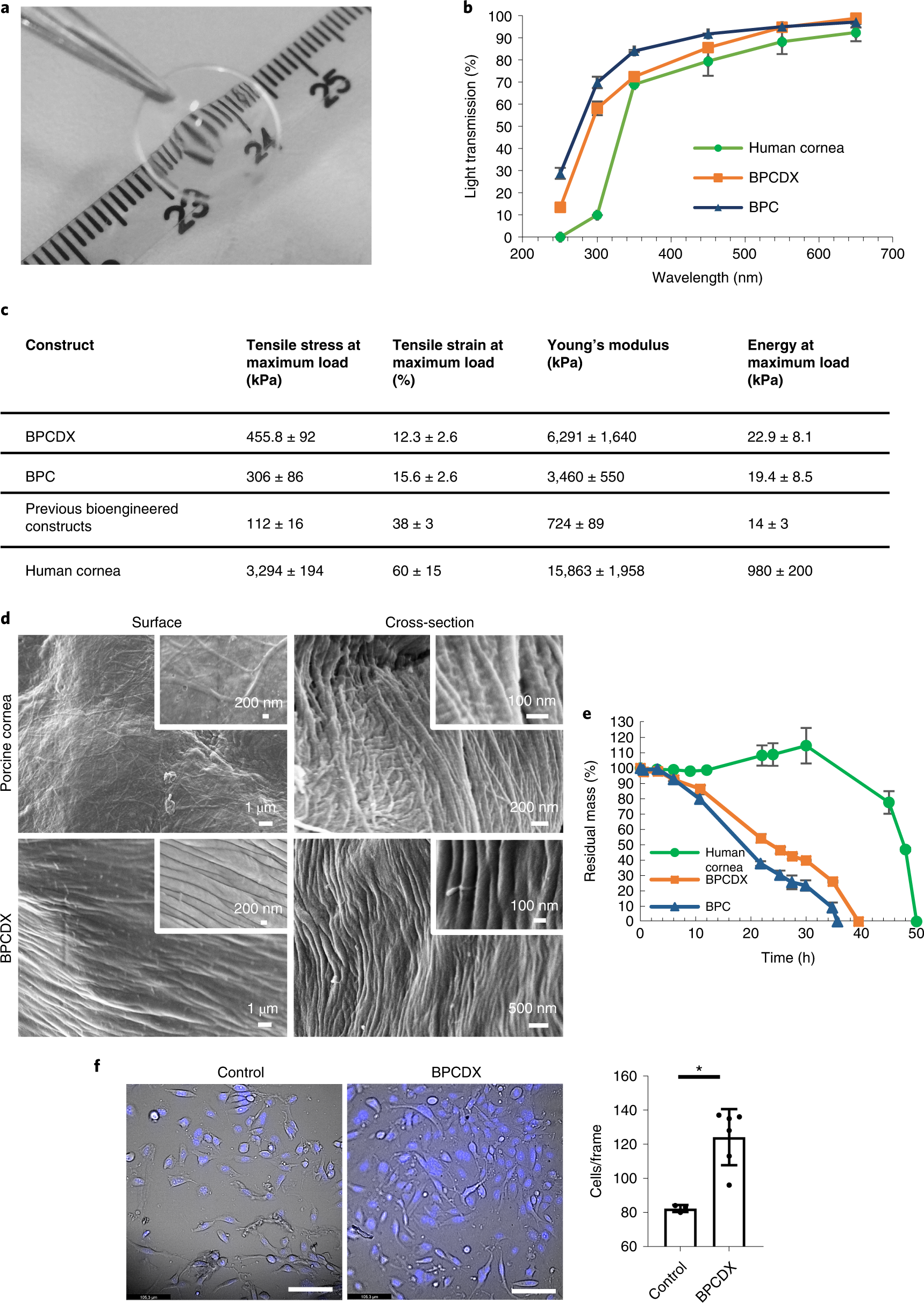 corneal vascularization riboflavin