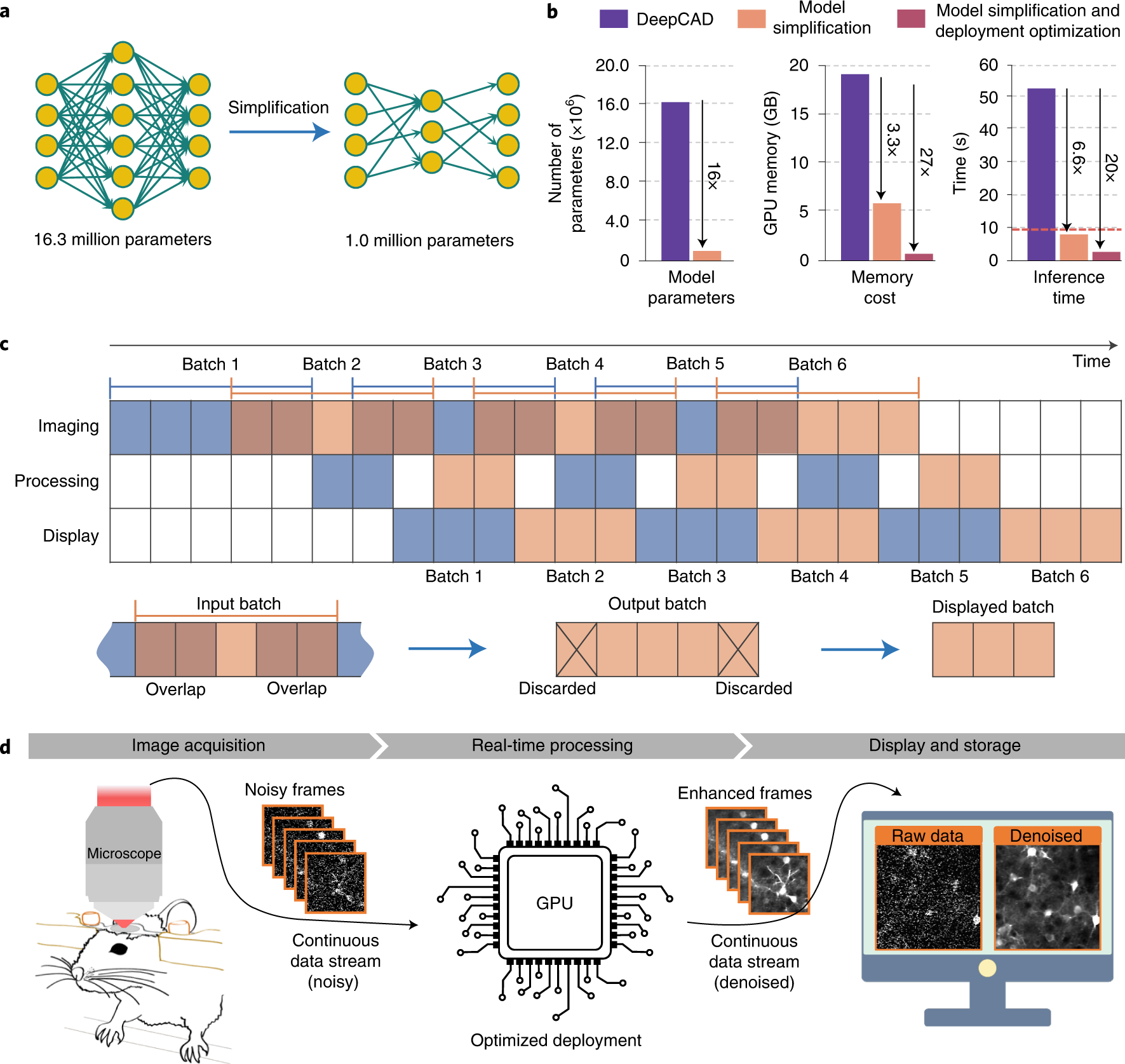 Real-time denoising enables high-sensitivity fluorescence time-lapse imaging beyond the shot-noise limit Nature Biotechnology