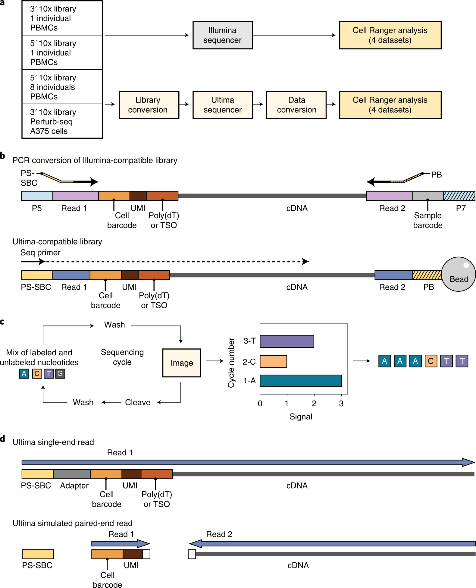 Mostly natural sequencing-by-synthesis for scRNA-seq using Ultima  sequencing | Nature Biotechnology