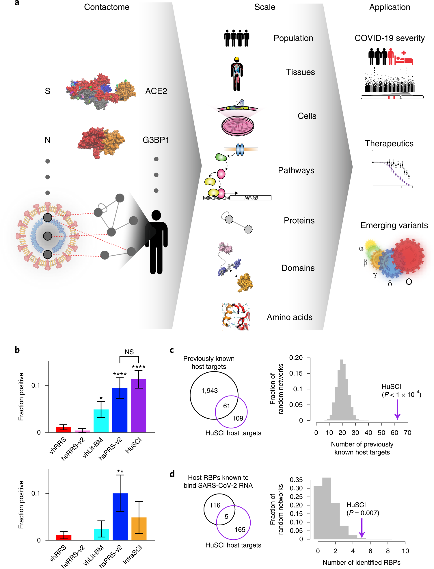 A proteome-scale map of the SARS-CoV-2–human contactome | Nature  Biotechnology