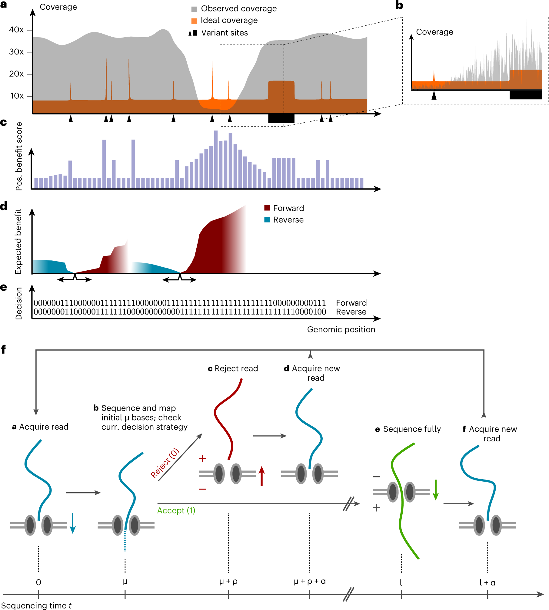 Orientation of flanking sequences neighboring to insertions in long reads