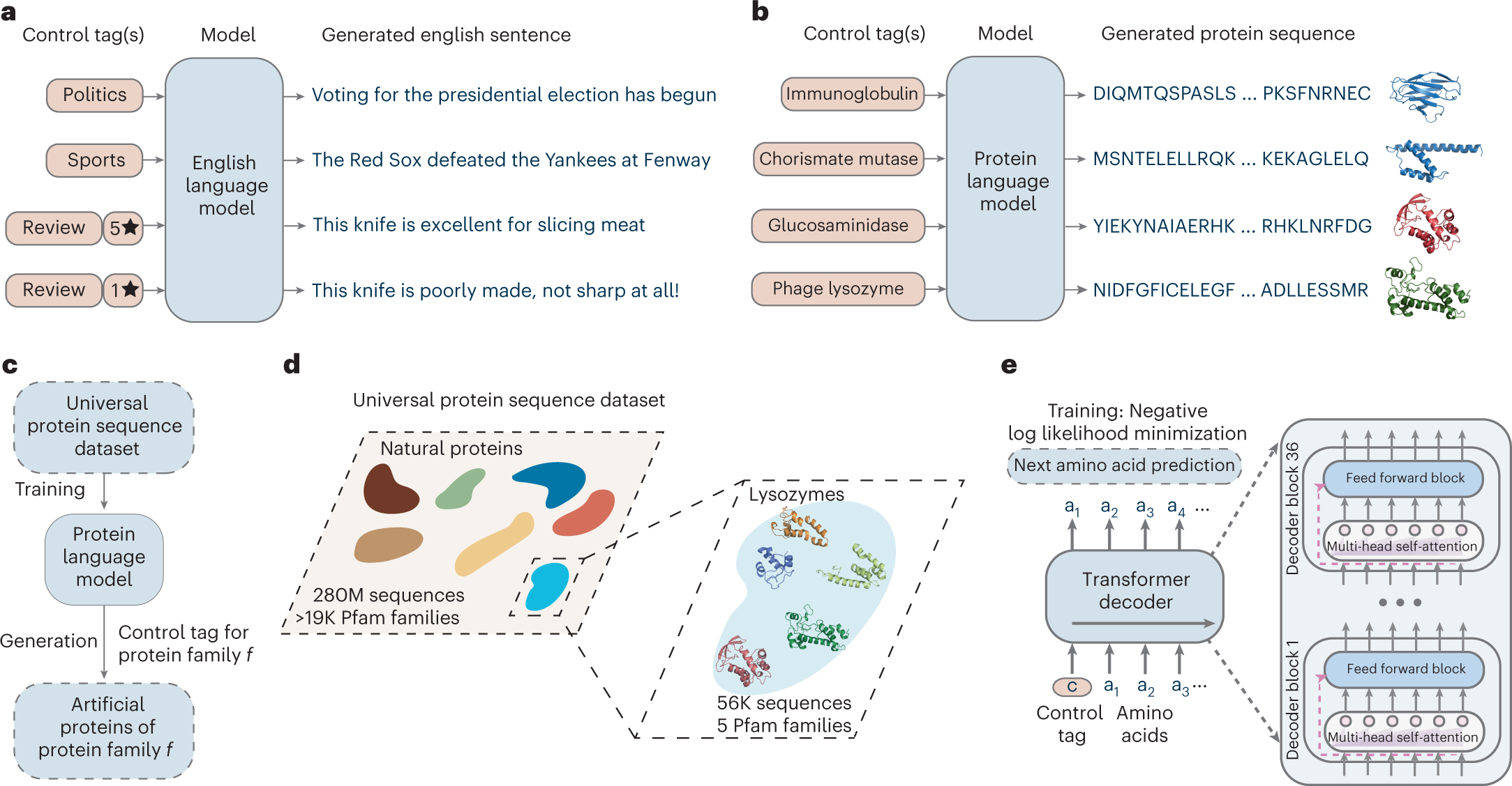 Large language models generate functional protein sequences across diverse  families | Nature Biotechnology