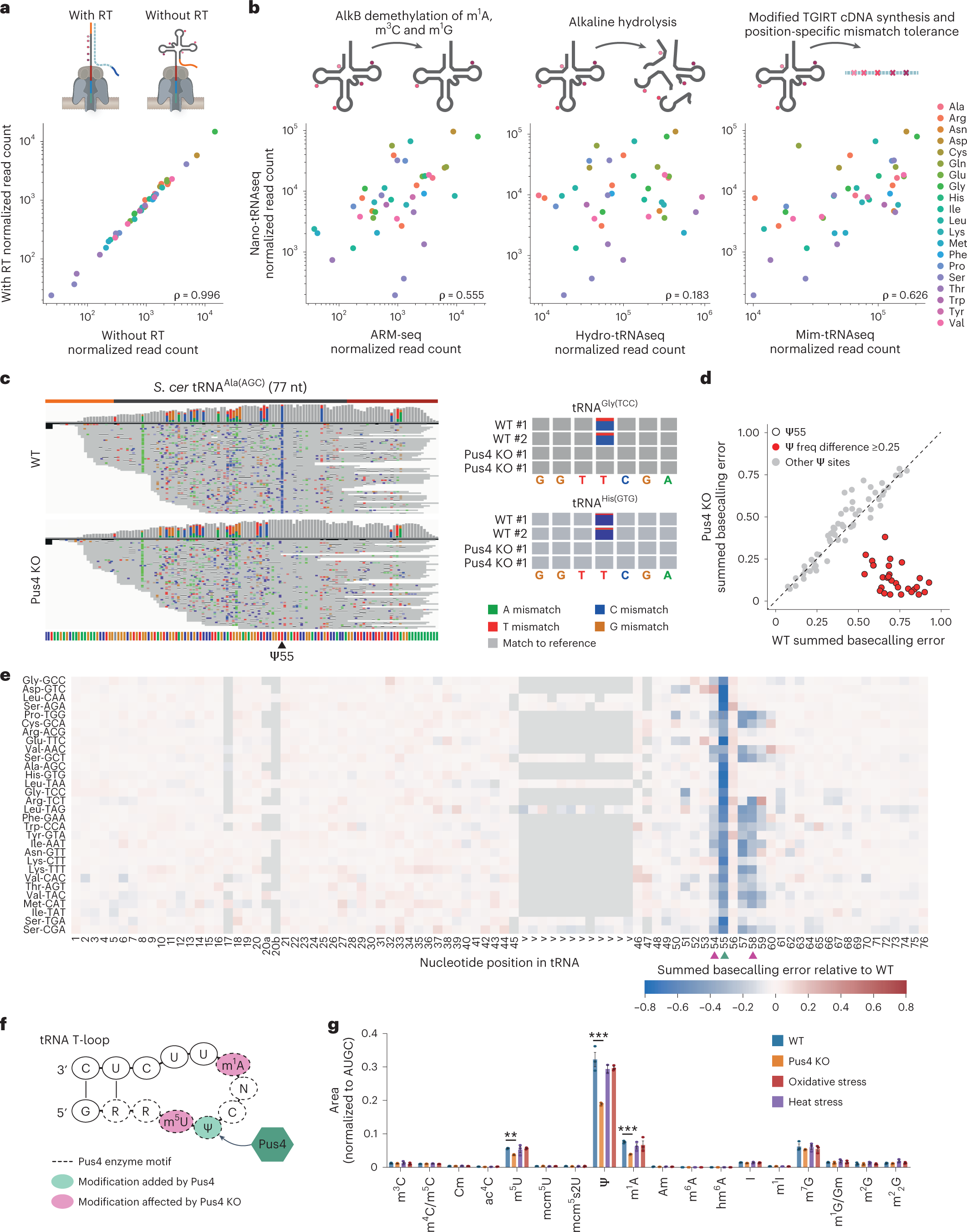 Fig. 4: Nano-tRNAseq can quantify tRNA abundance and RNA modifications as well as capture modification interdependencies.