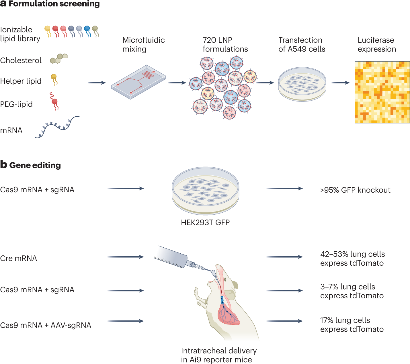 Biomedicines, Free Full-Text