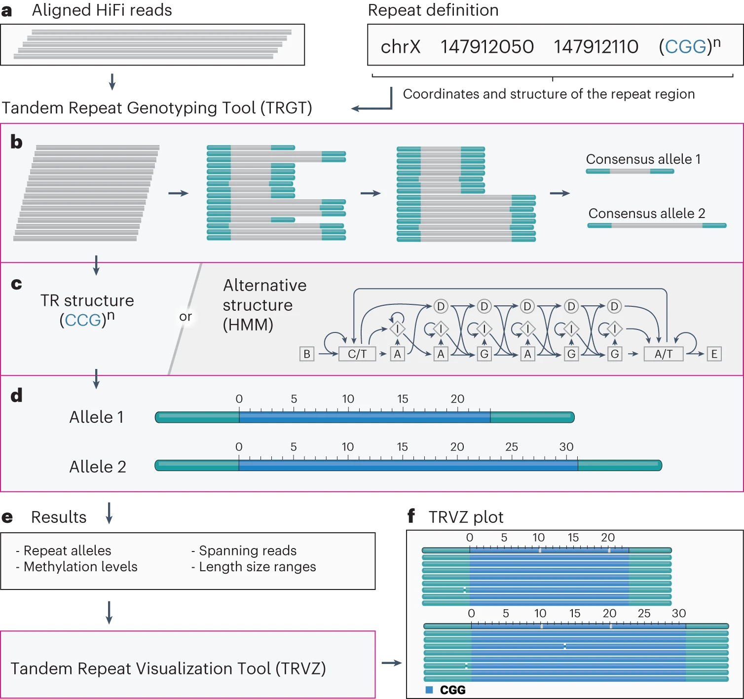 Characterization and visualization of tandem repeats at genome scale