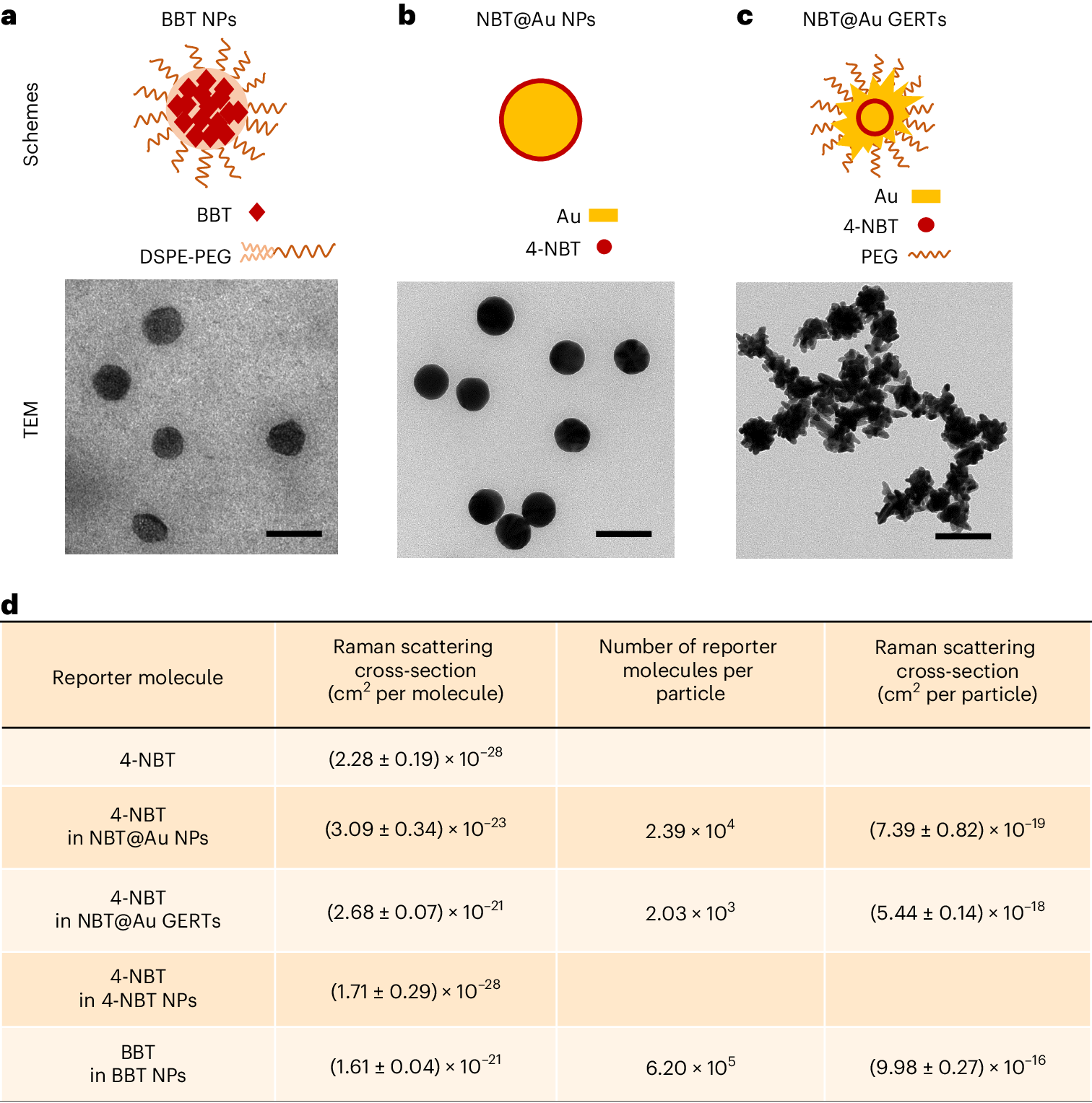 Fig. 4: Raman scattering cross-section of the SICTERS-based small-molecule nanoprobes compared to the SERS-based Au nanoprobes.