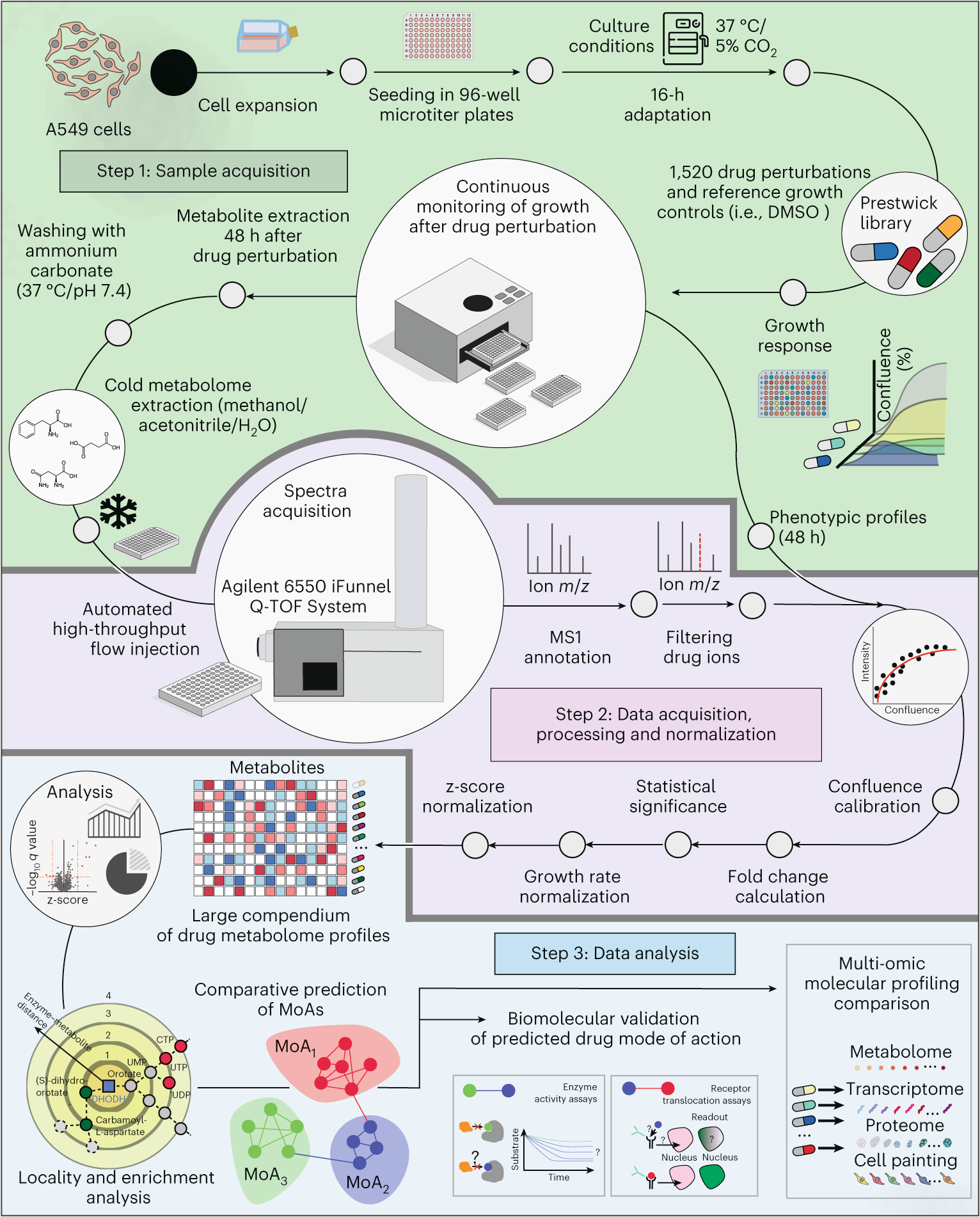 glutathione xenobiotic metabolism Glutathione-Mediated Conjugation of Anticancer Drugs: An Overview of  Reaction Mechanisms and Biological Significance for Drug Detoxification and  Bioactivation