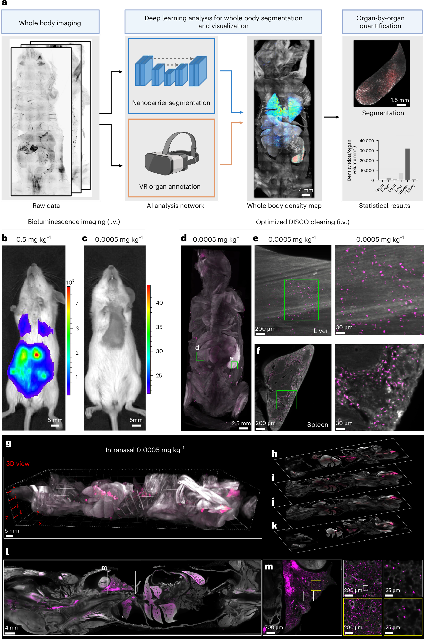 配送の追跡:ナノキャリアの新技術(Tracking delivery: new technology for nanocarriers)