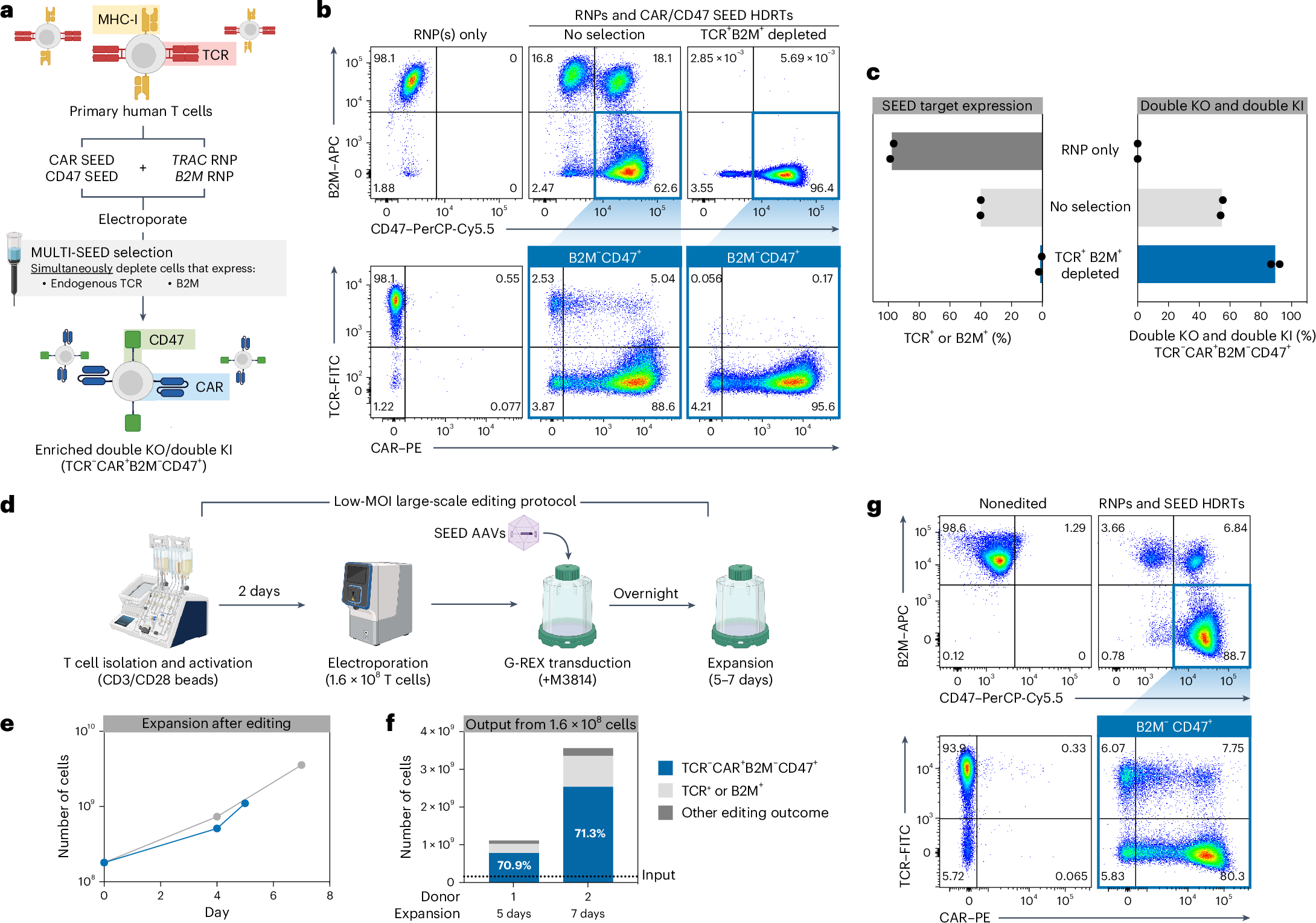 Fig. 2: SEED-Selection can simultaneously enrich for edits at multiple loci.