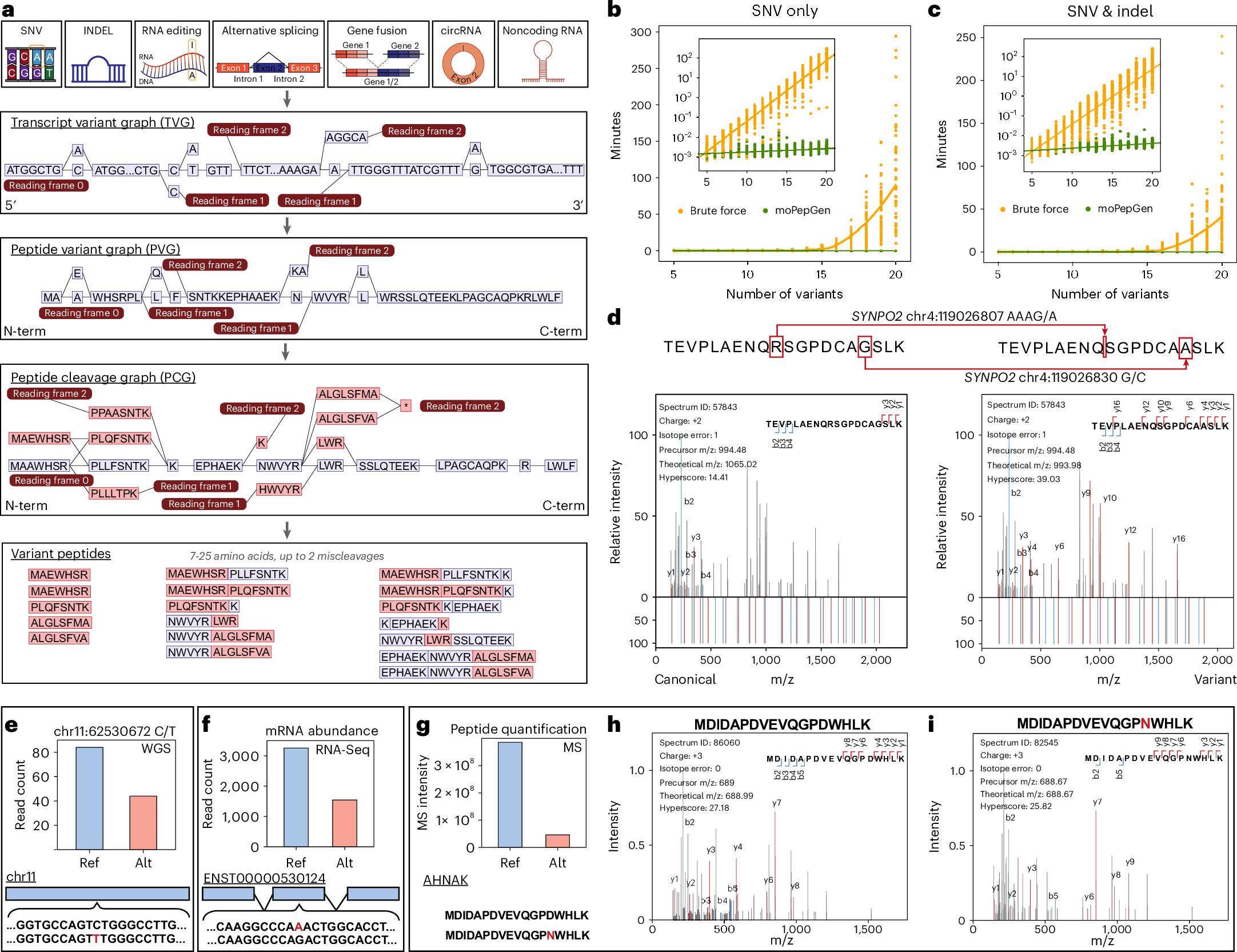 がん関連の隠れた遺伝子変異を検出する計算ツール開発(New computational tool helps detect hidden mutations linked to cancer)