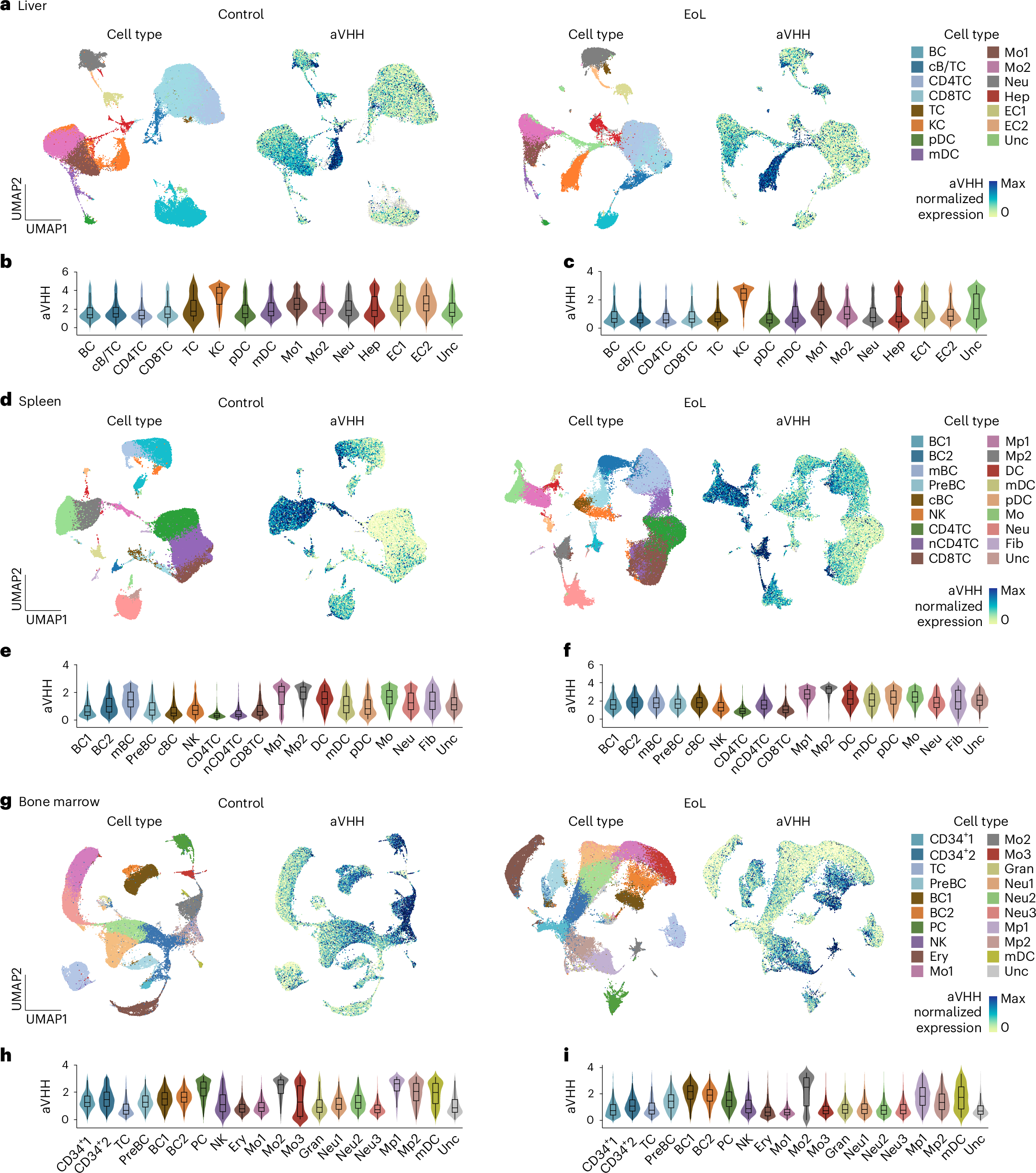 Fig. 3: Single-cell multiomics readout of functional LNP delivery in NHP.