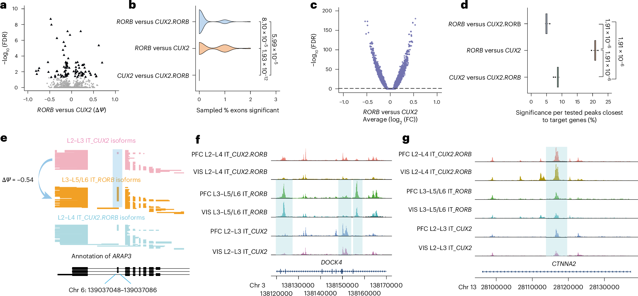Fig. 3: Chromatin accessibility and splicing patterns mimic each other in cell subtypes.