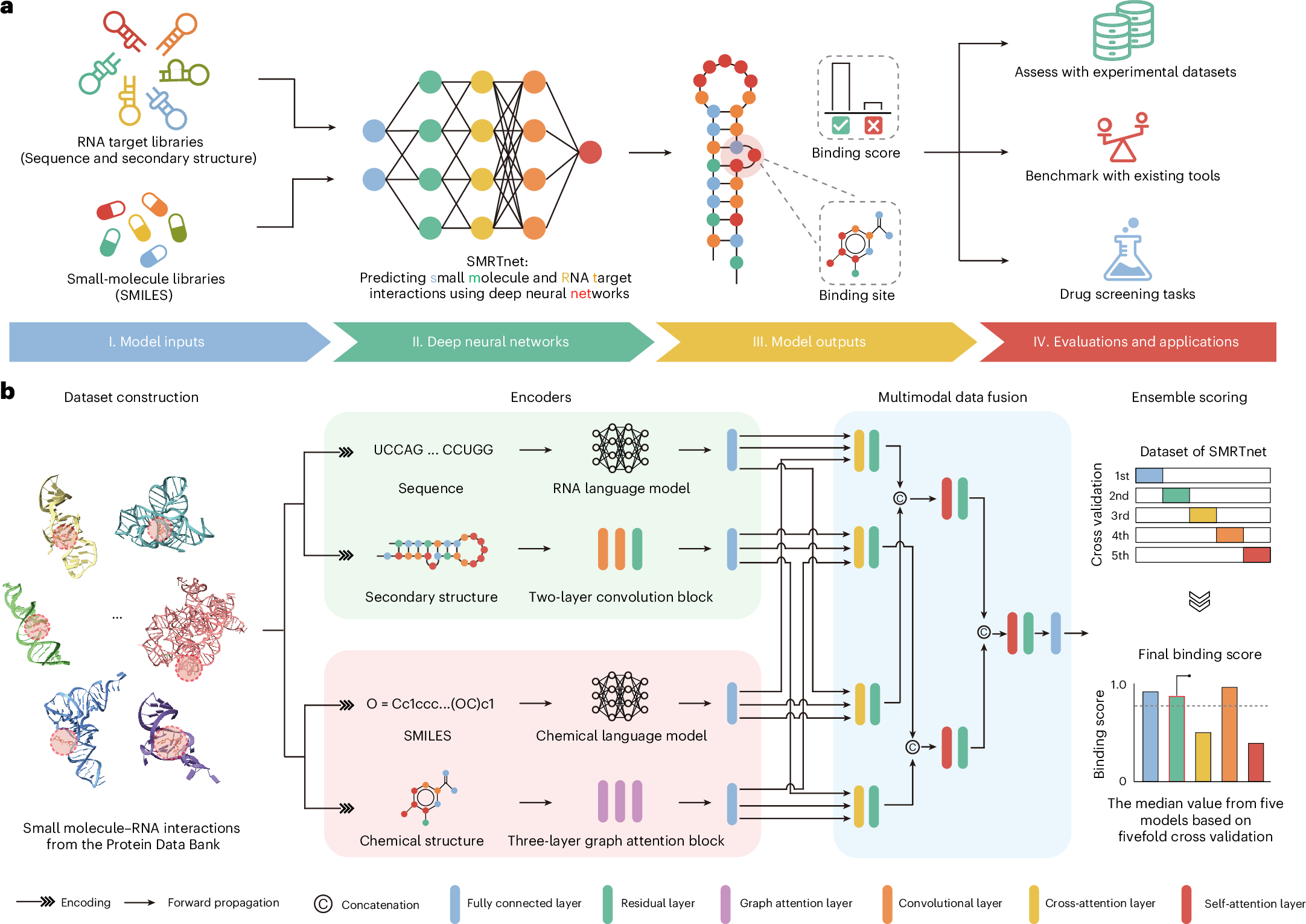 Functional genomics of human skeletal development and the patterning of  height heritability: Cell, image size:2164x1531