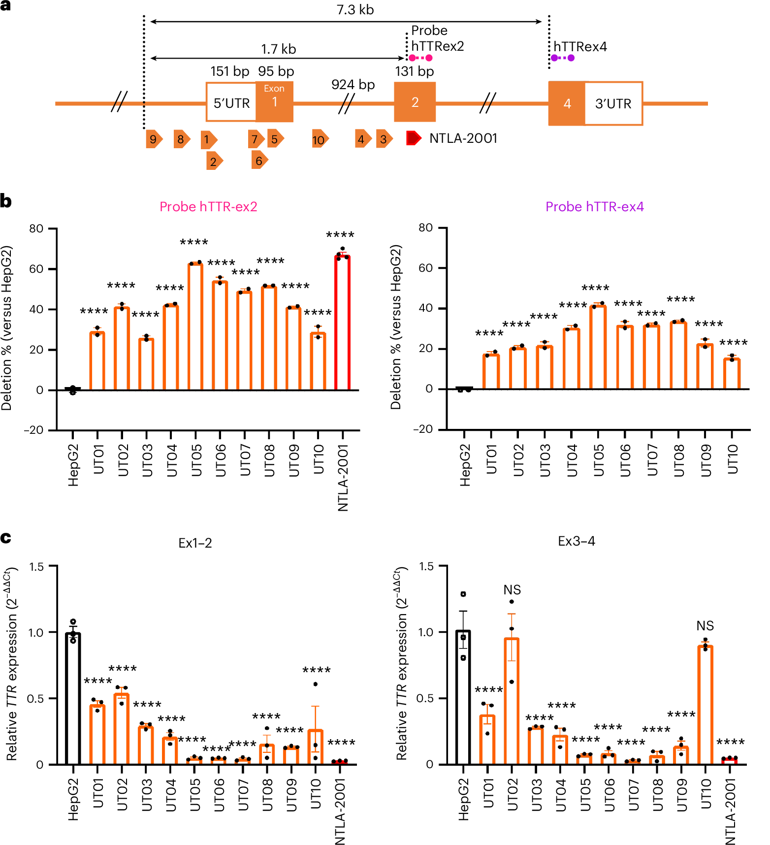 Fig. 6: Screening of crRNA targeting the TTR gene in human HepG2 cells.