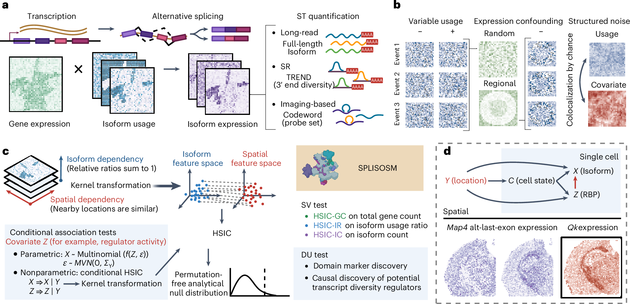 Fig. 1: A computational toolbox for spatial isoform pattern discovery.