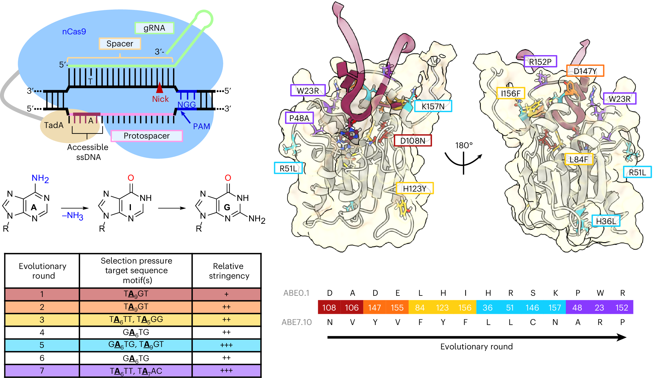 Fig. 1: Overview of ABE7.10.
