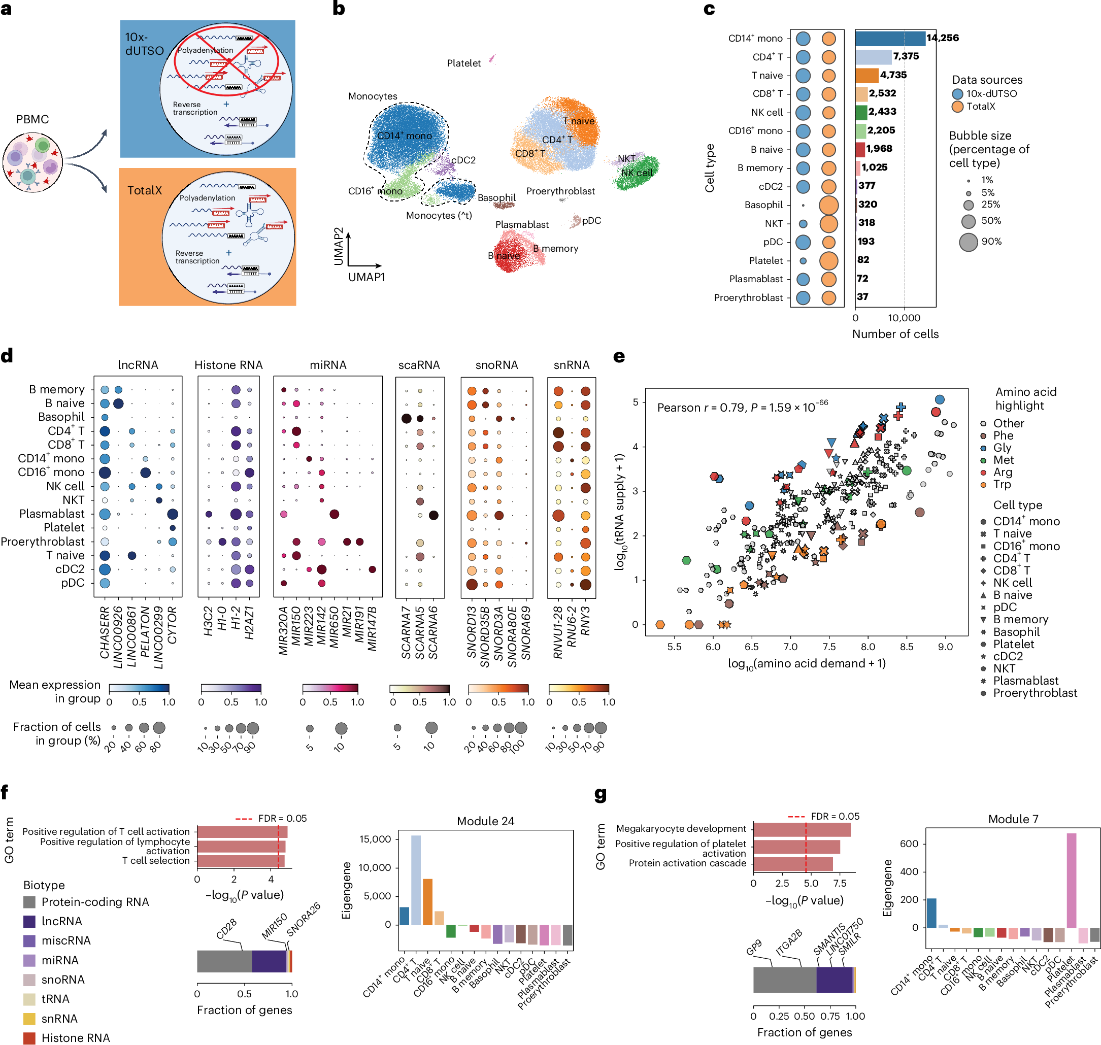 Fig. 2: TotalX enables cell-type-specific profiling of noncoding RNAs in human PBMCs.
