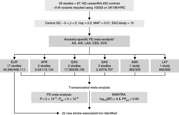 Multiancestry genome-wide association study of 520,000 subjects identifies  32 loci associated with stroke and stroke subtypes | Nature Genetics
