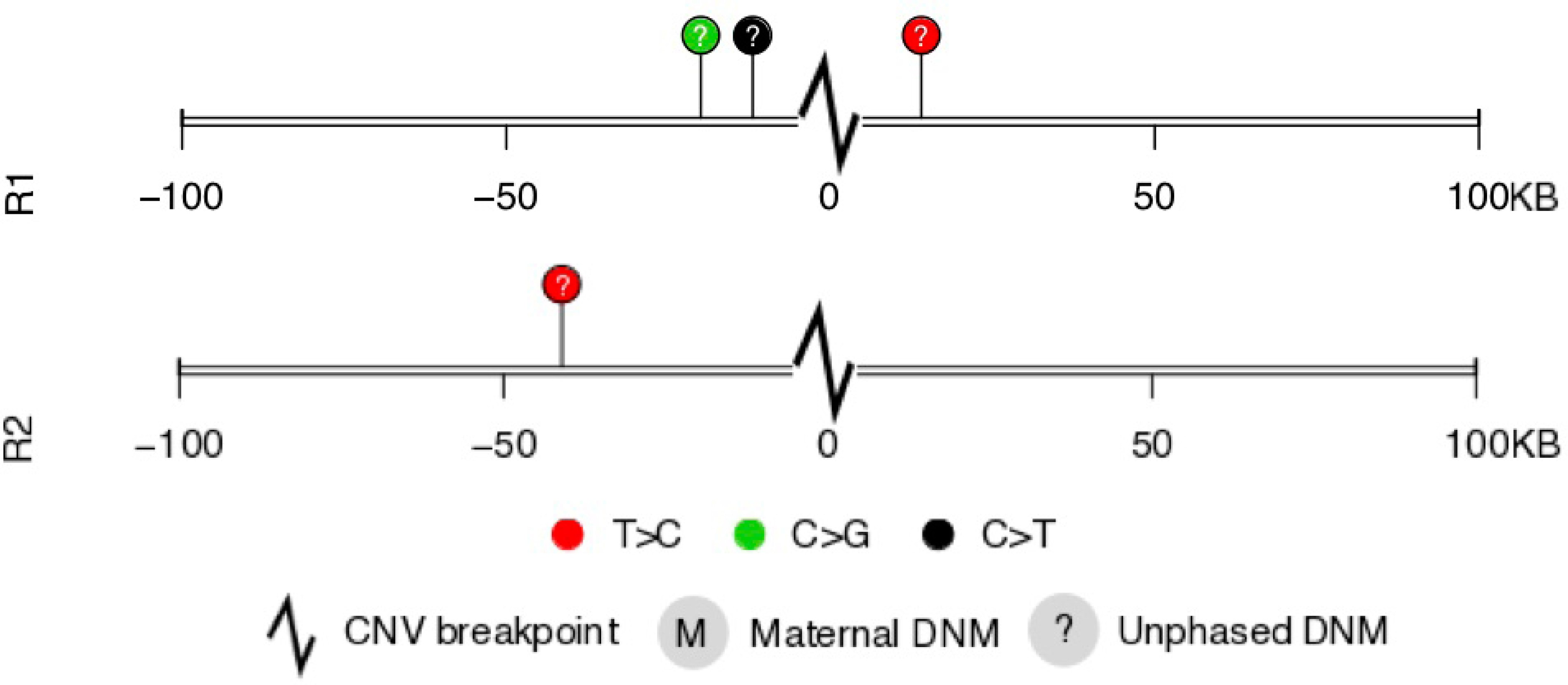 Supplementary Figure 9