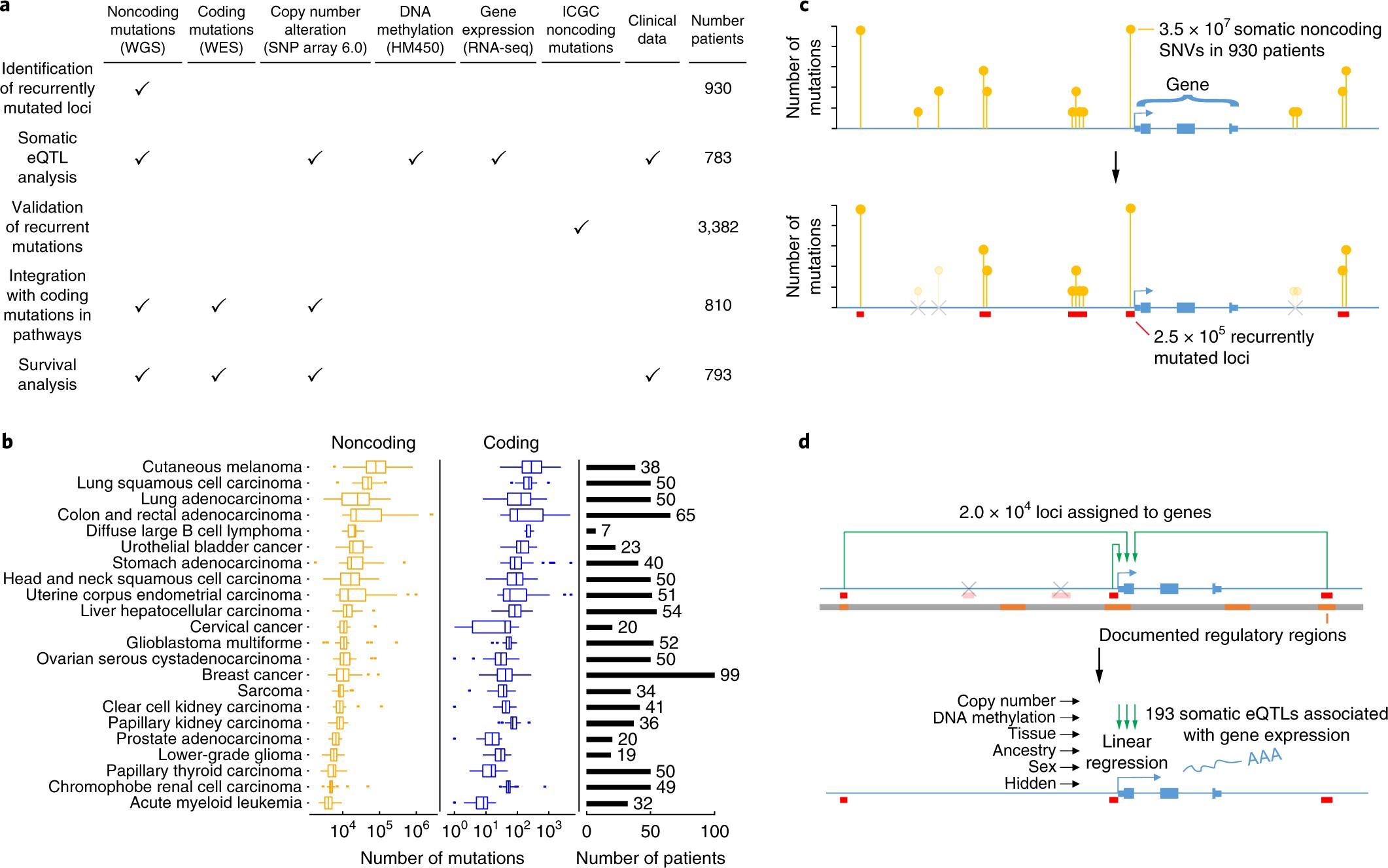 Noncoding Mutations Contribute To >> A Global Transcriptional Network Connecting Noncoding Mutations To Noncoding Mutations Contribute To >> A Global Transcriptional Network Connecting Noncoding Mutations To