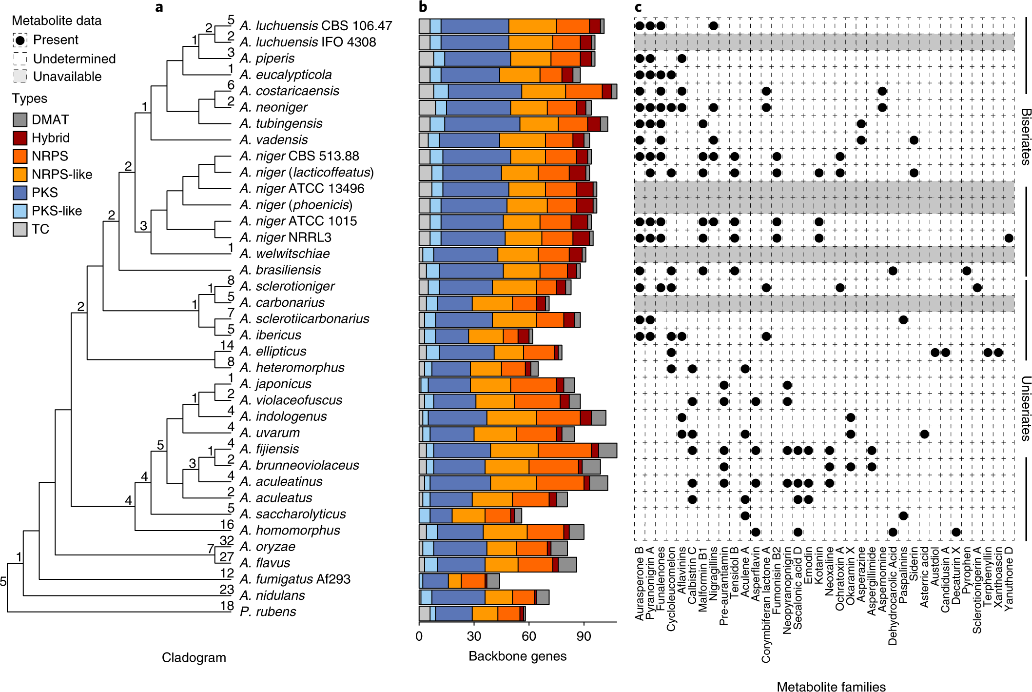 Fig. 5: SMGCs and types of cluster backbones for section Nigri.
