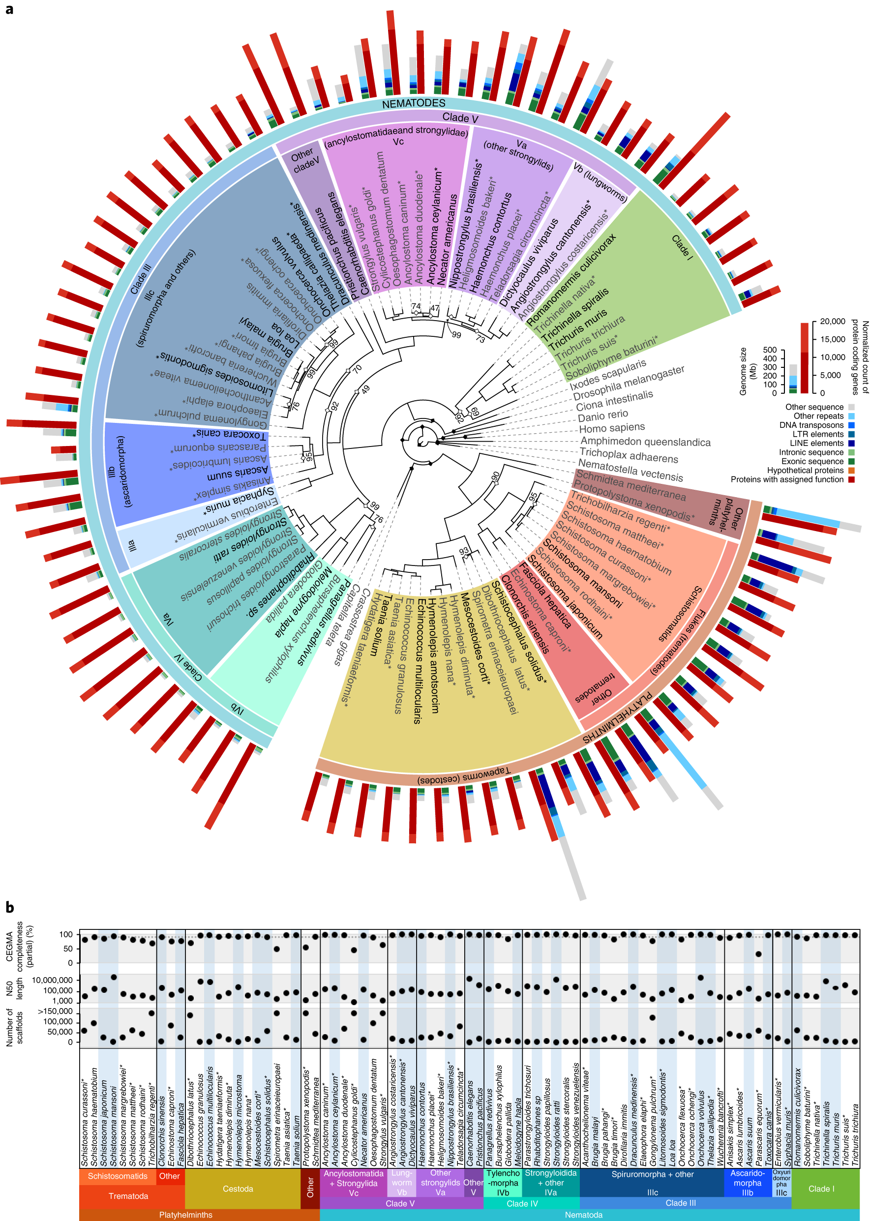 Invasion of the earthworms, mapped and analyzed