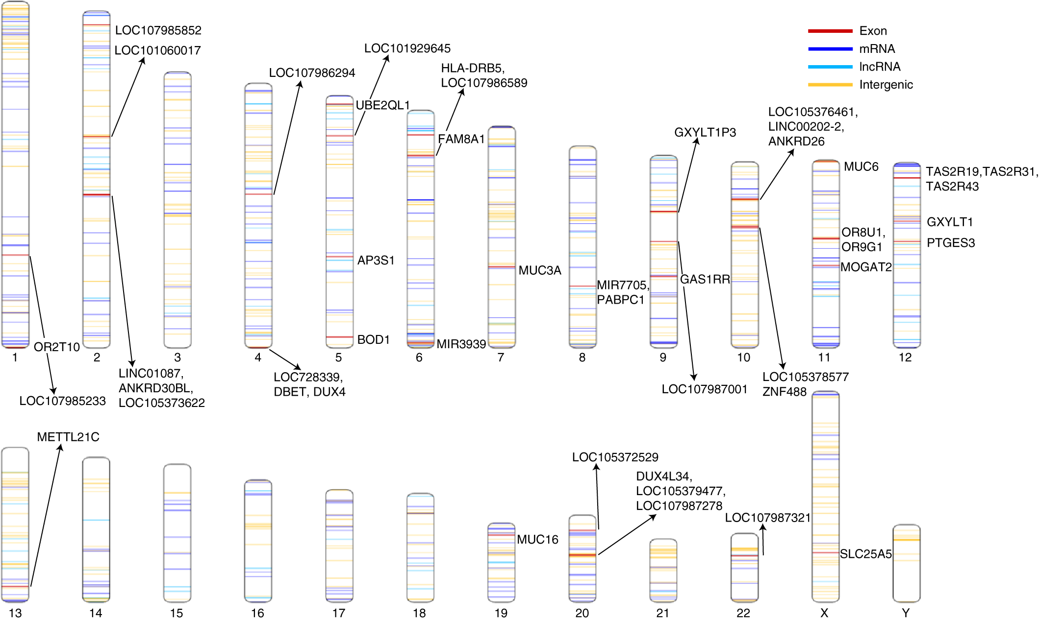 Fig. 2: African pan-genome contig locations.