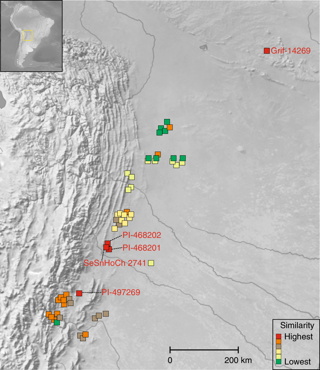 Fig. 4: Similarity of A. duranensis from different locations to the A subgenome of Tifrunner.