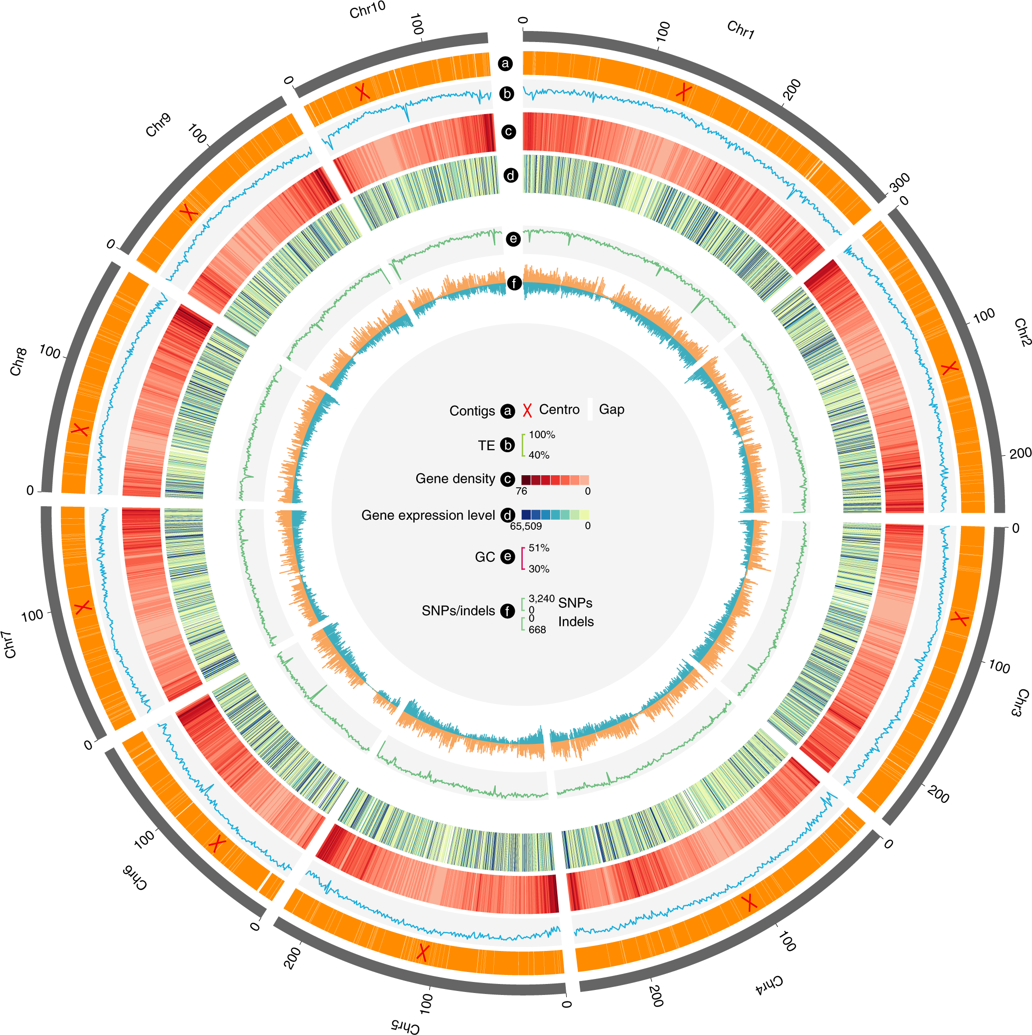 Fig. 2: Features of the SK genome.