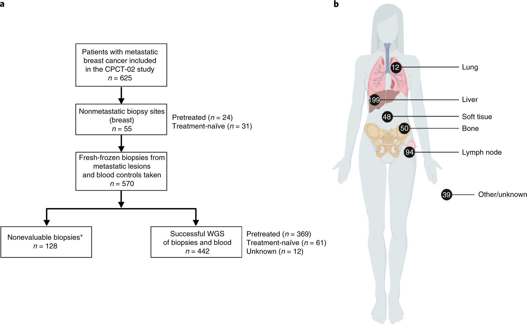 metastatic cancer ncbi gingival papilloma cause