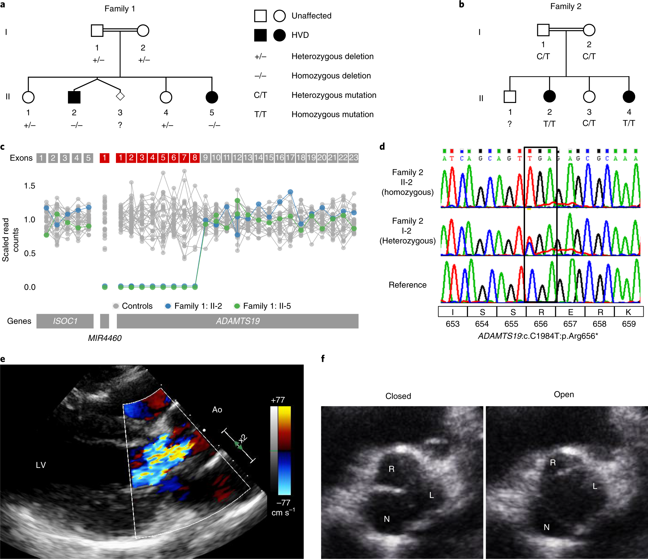 https://media.springernature.com/full/springer-static/image/art%3A10.1038%2Fs41588-019-0536-2/MediaObjects/41588_2019_536_Fig1_HTML.png