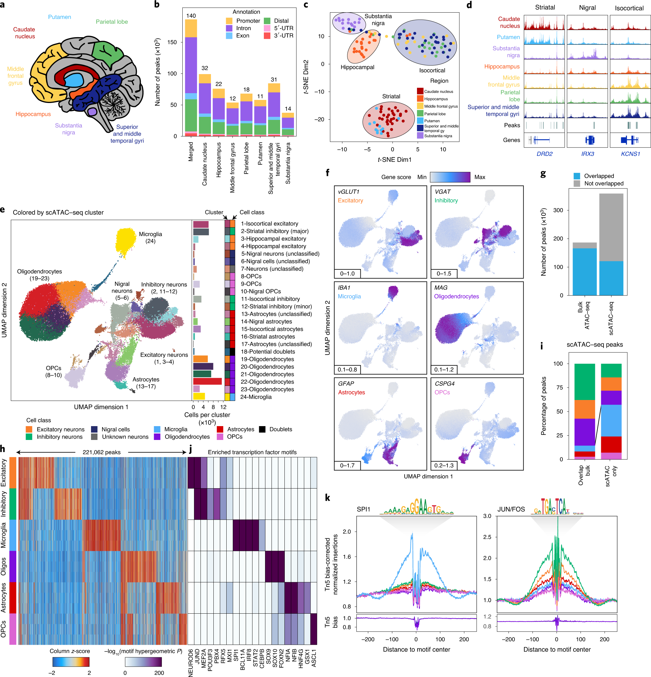 Single-Cell Epigenomics and Functional Fine-Mapping of