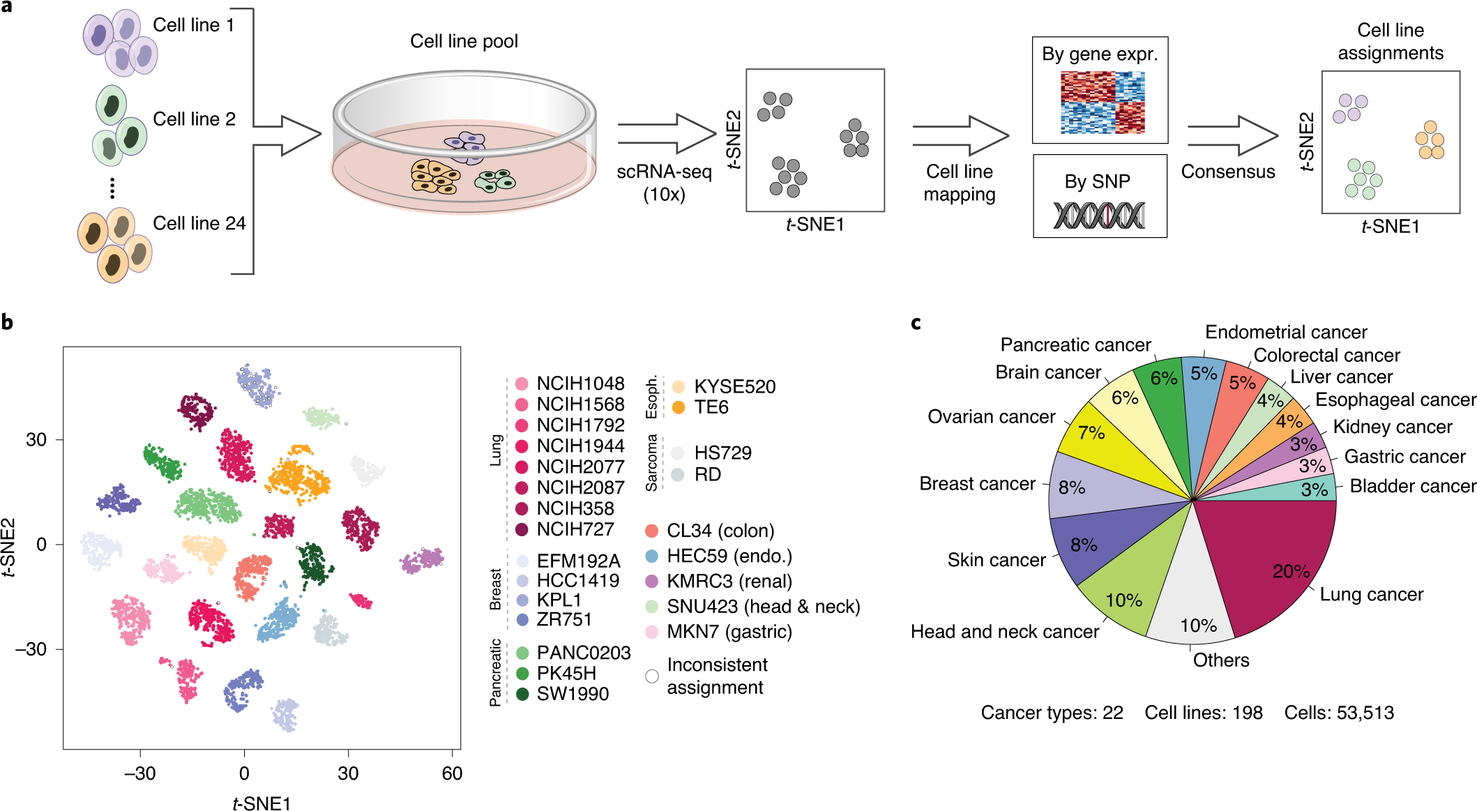 Pan-cancer atlas of somatic core and linker histone mutations