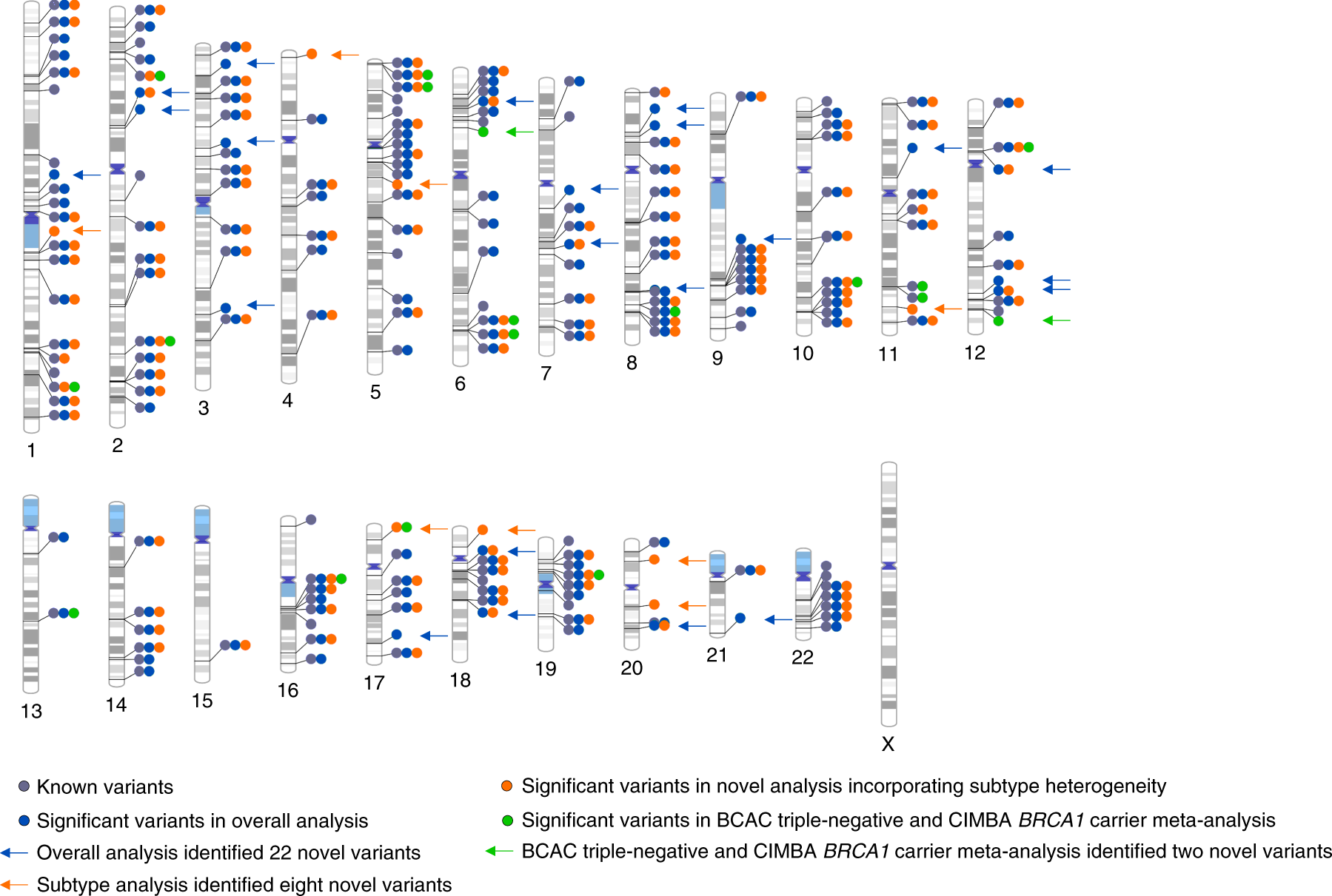 Genome Wide Association Study Identifies 32 Novel Breast Cancer Susceptibility Loci From Overall And Subtype Specific Analyses Nature Genetics