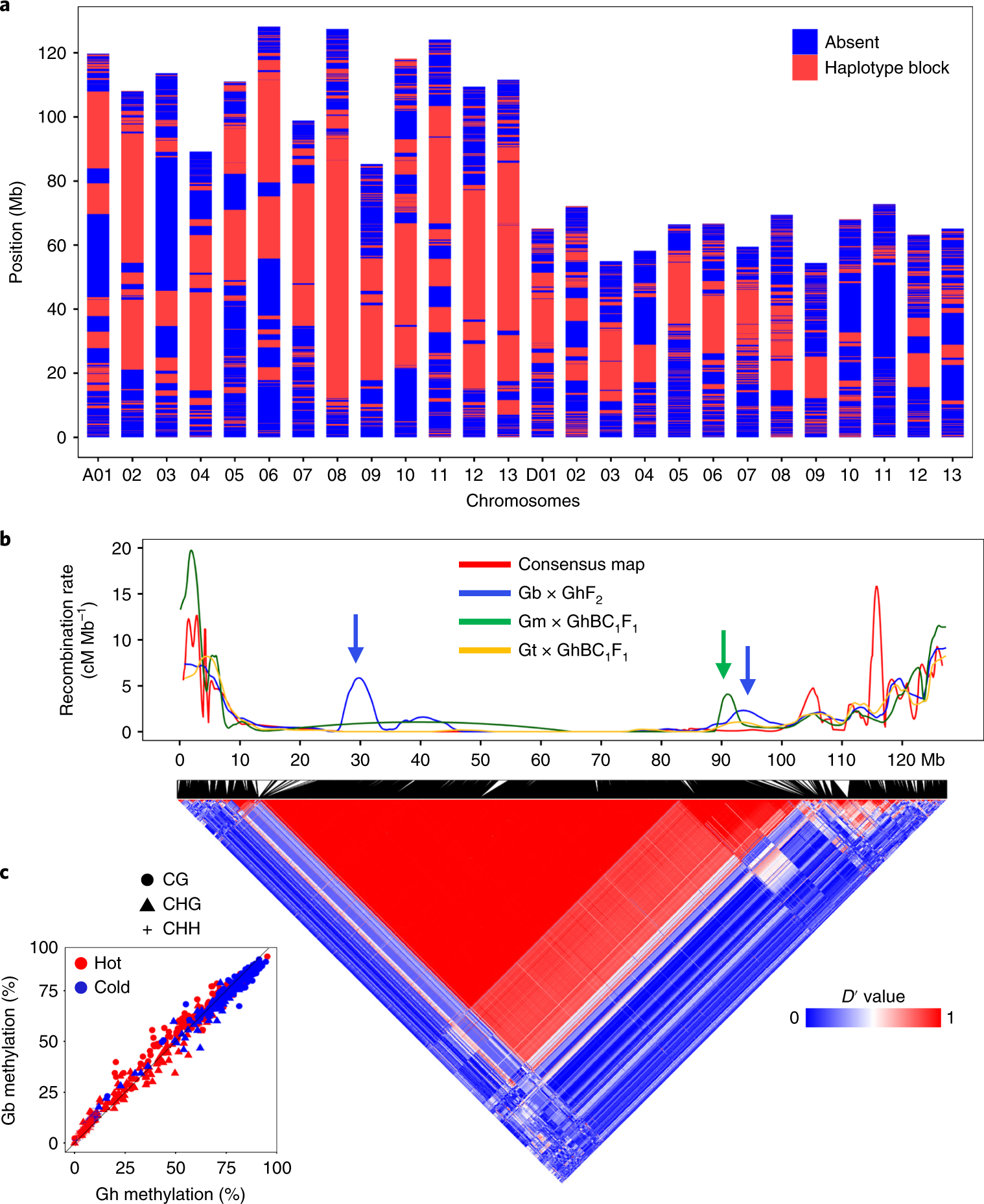 Fig. 4: Low-recombination haplotype blocks and their stability and selection during breeding and domestication.