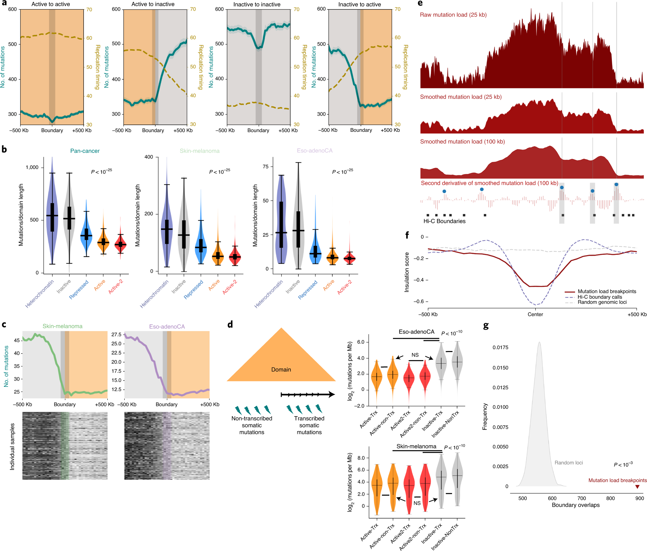 Somatic Mutation Distributions In Cancer Genomes Vary With Three Dimensional Chromatin Structure Nature Genetics