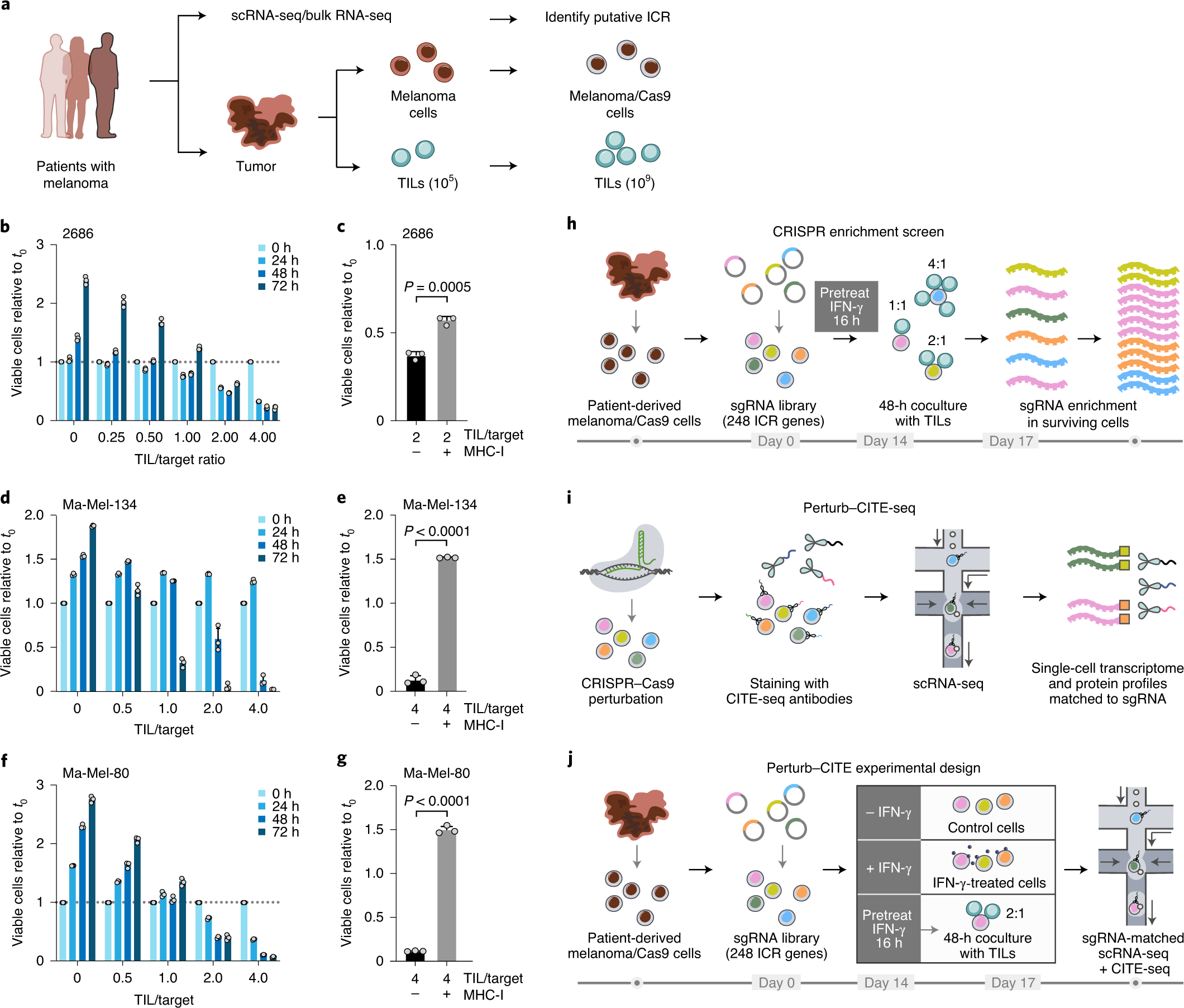 Multimodal Pooled Perturb Cite Seq Screens In Patient Models Define Mechanisms Of Cancer Immune Evasion Nature Genetics