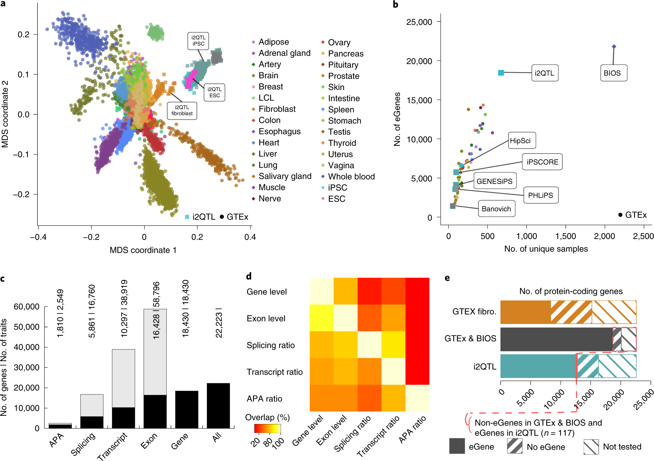 Transcriptomic signatures across human tissues identify functional rare  genetic variation