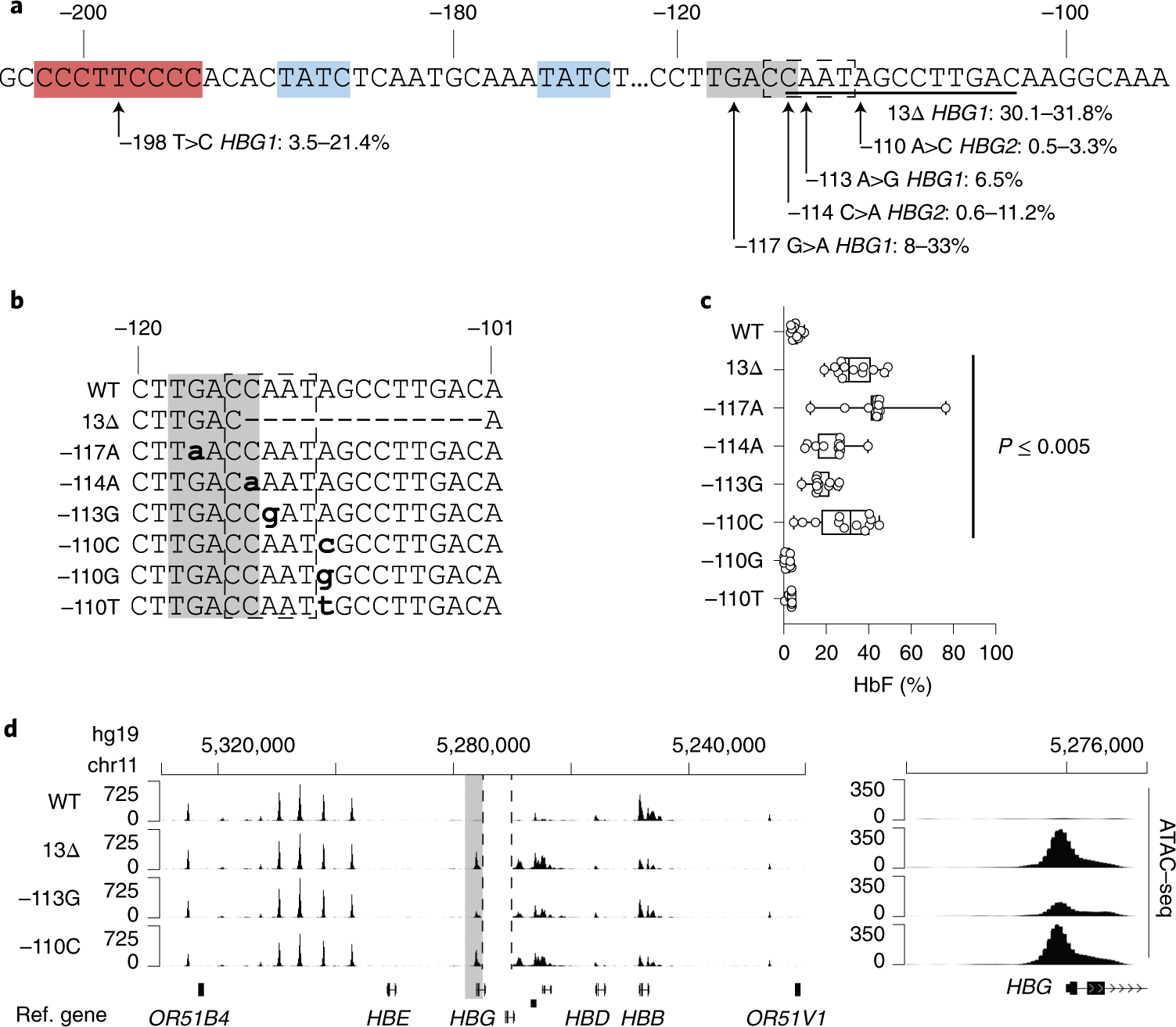 Activation Of G Globin Gene Expression By Gata1 And Nf Y In Hereditary Persistence Of Fetal Hemoglobin Nature Genetics