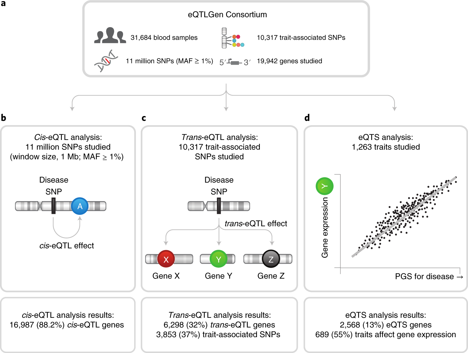 Large-scale cis- and trans-eQTL analyses identify thousands of genetic loci  and polygenic scores that regulate blood gene expression | Nature Genetics