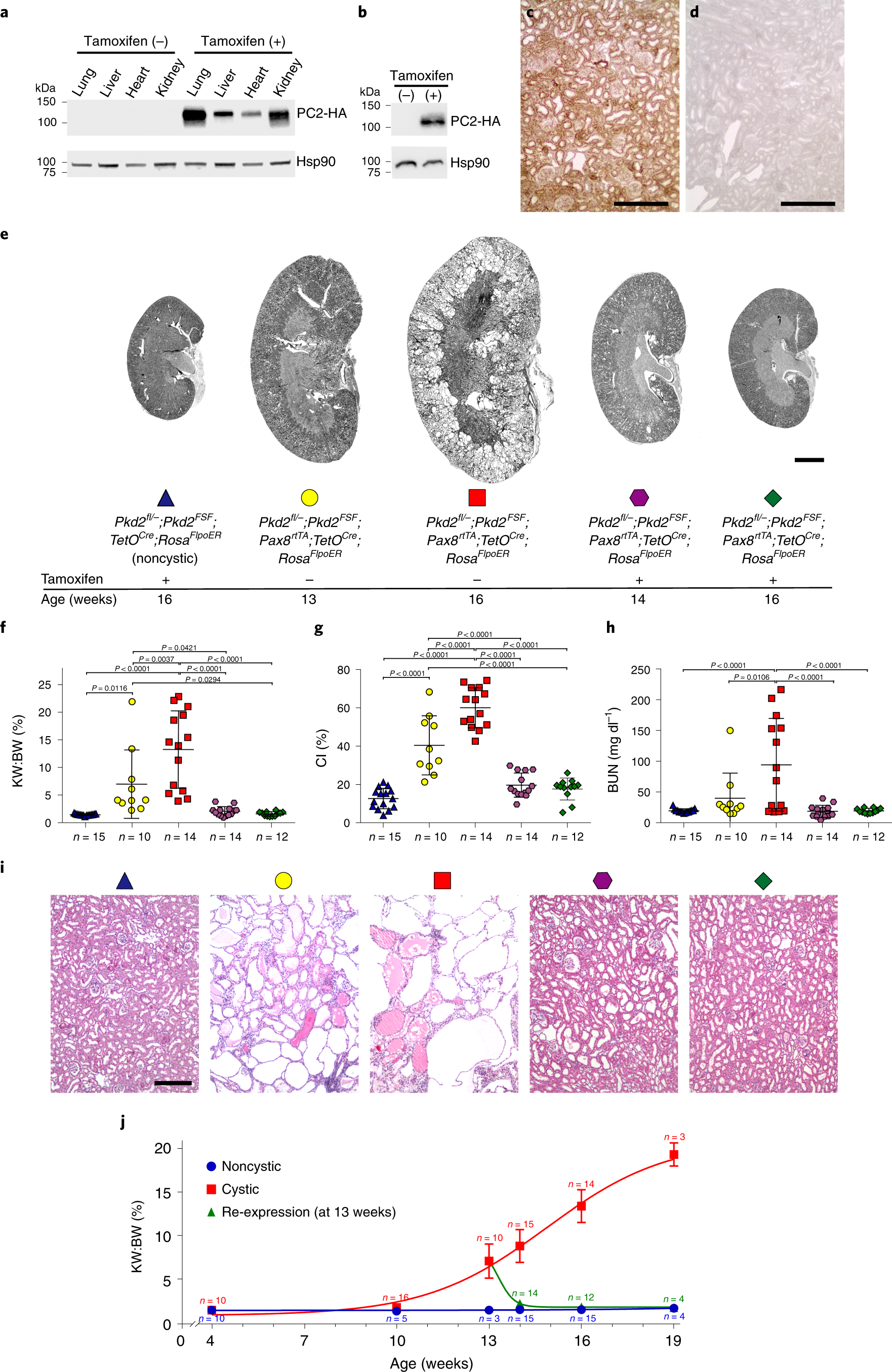 https://media.springernature.com/full/springer-static/image/art%3A10.1038%2Fs41588-021-00946-4/MediaObjects/41588_2021_946_Fig1_HTML.png