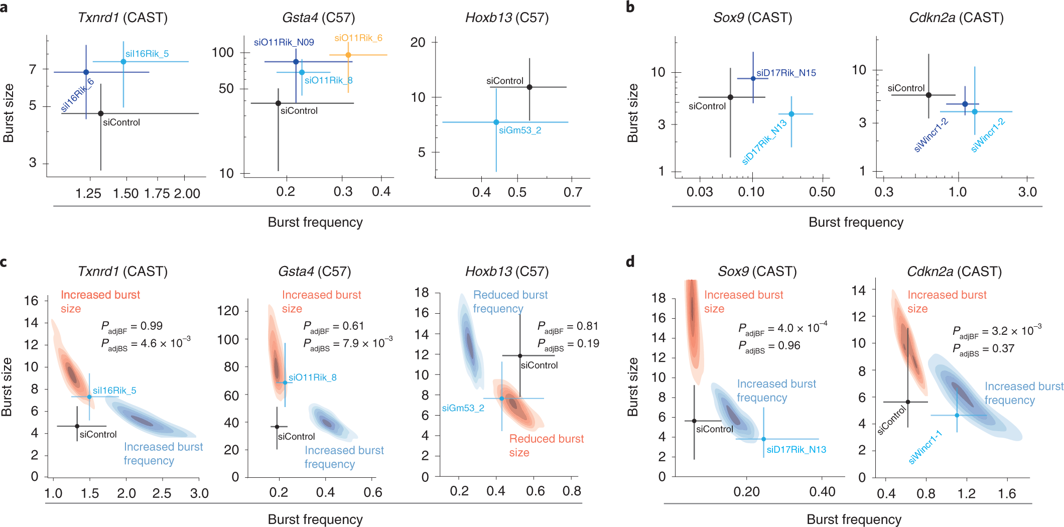 Fig. 8: The effect of lncRNAs on transcriptional bursting.