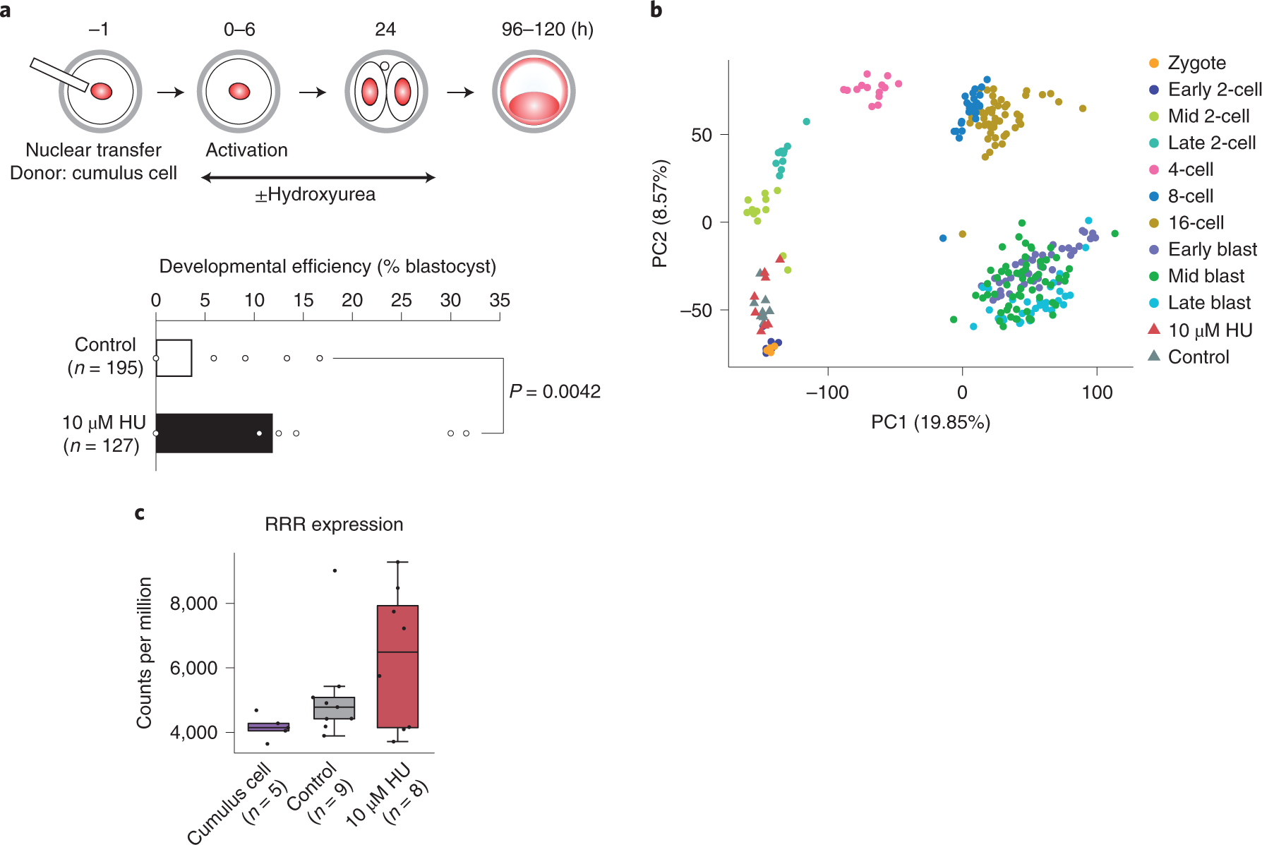 Fig. 5: Improvement of the developmental potential of SCNT-derived embryos.
