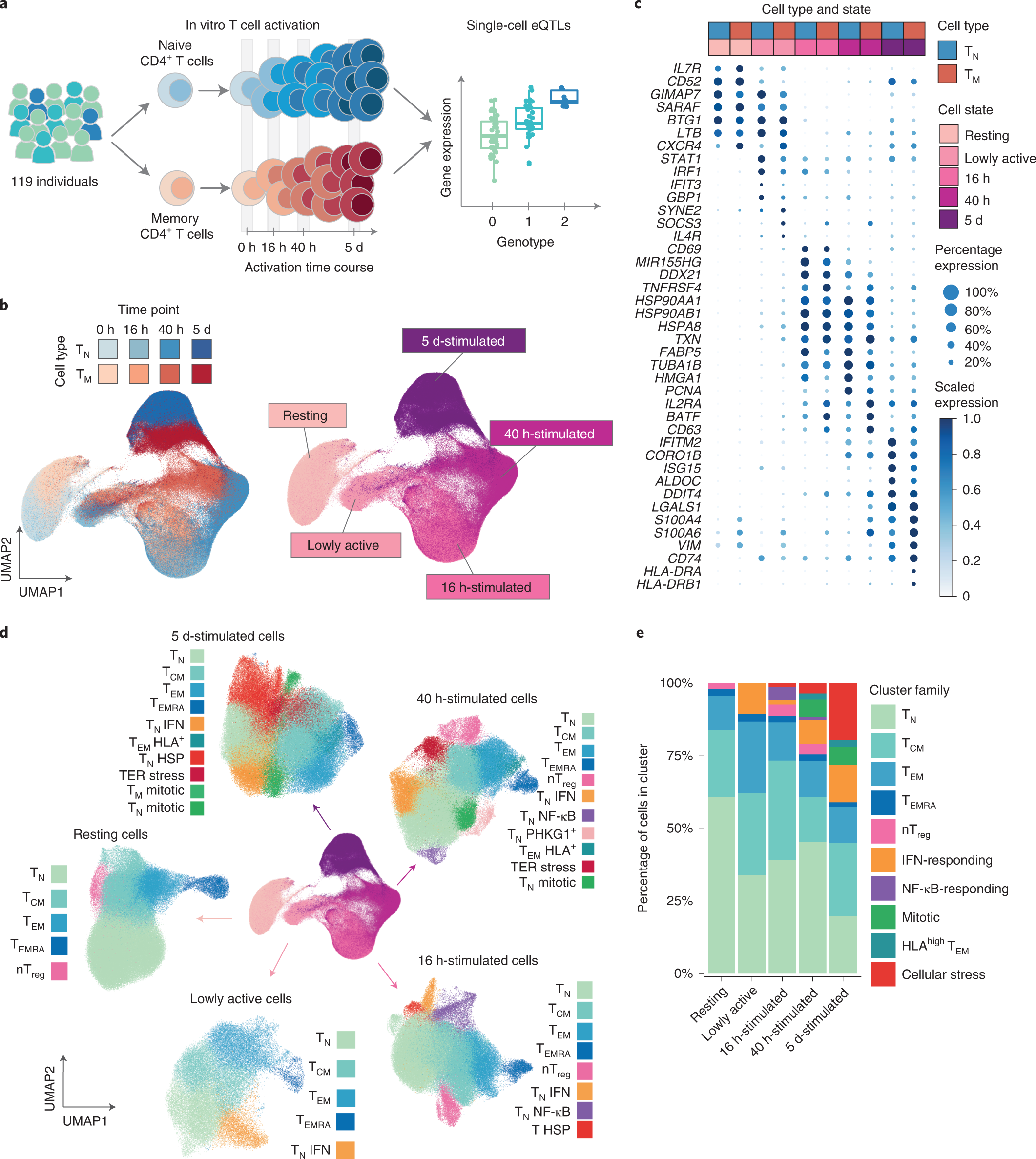 Immune disease risk variants regulate gene expression dynamics during CD4+  T cell activation