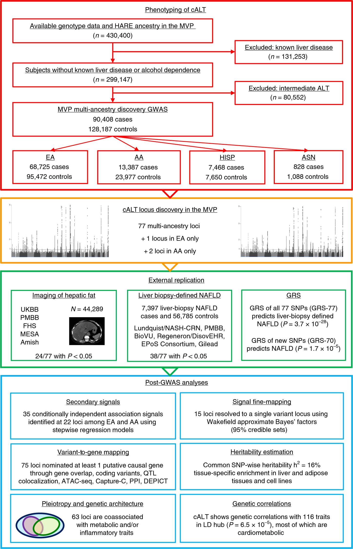 A multiancestry genome-wide association study of unexplained chronic ALT  elevation as a proxy for nonalcoholic fatty liver disease with histological  and radiological validation | Nature Genetics