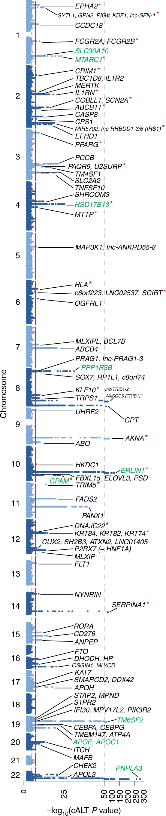 A multiancestry genome-wide association study of unexplained chronic ALT elevation as a proxy for nonalcoholic fatty liver disease with histological and radiological validation